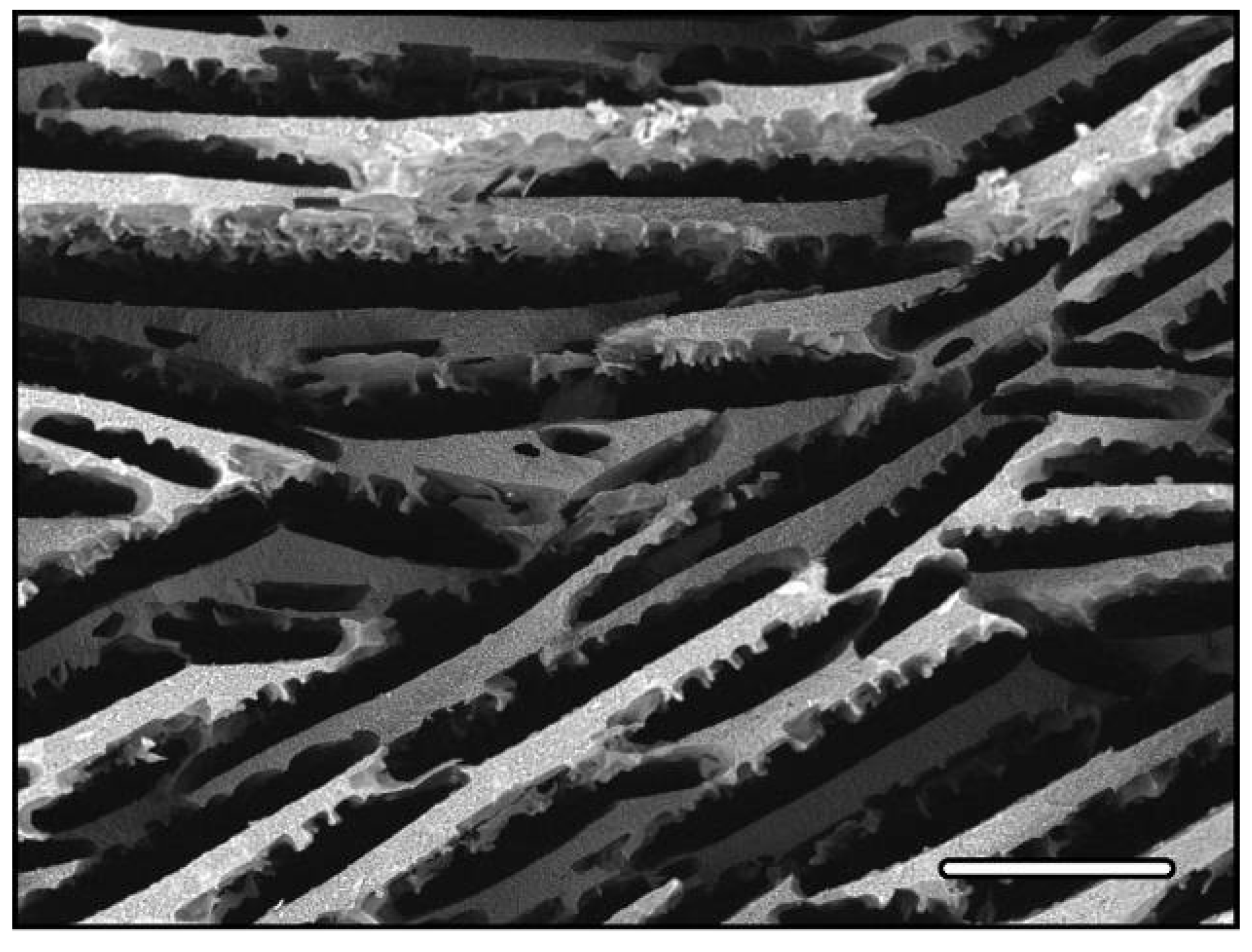 Materials 03 01913 g002