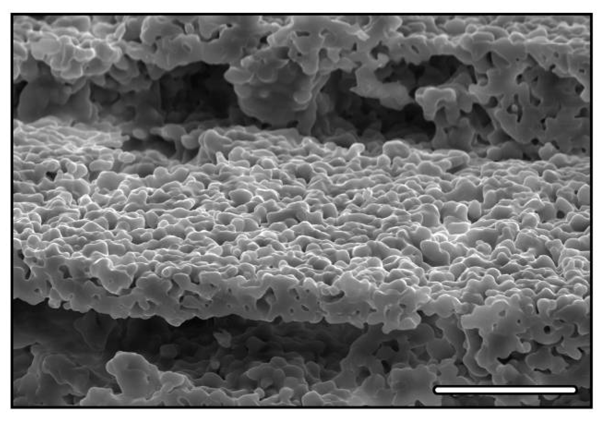 Materials 03 01913 g003