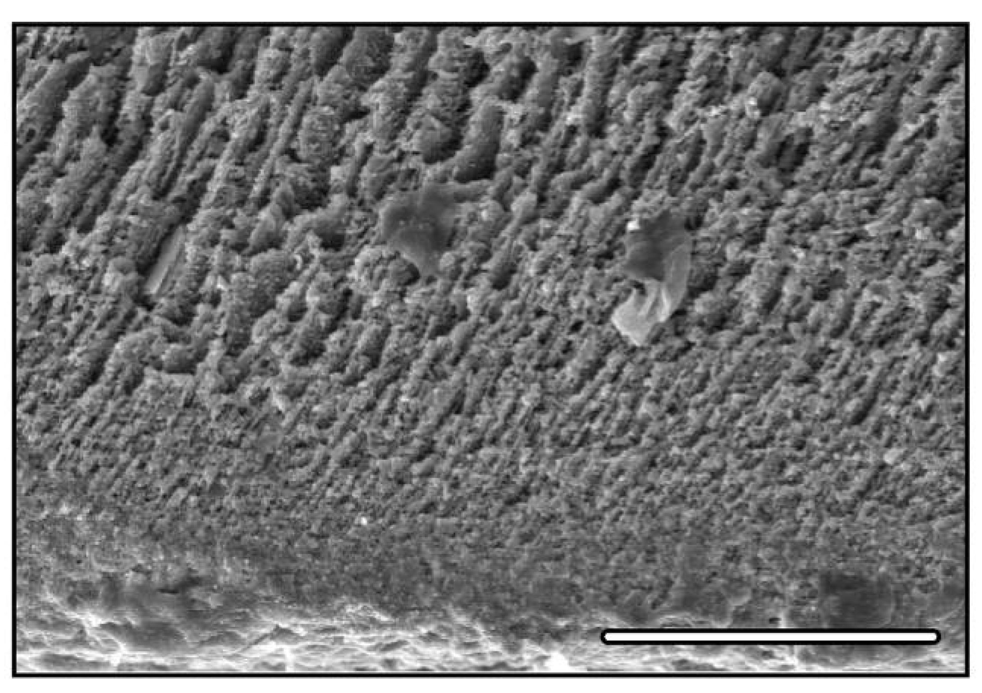 Materials 03 01913 g004