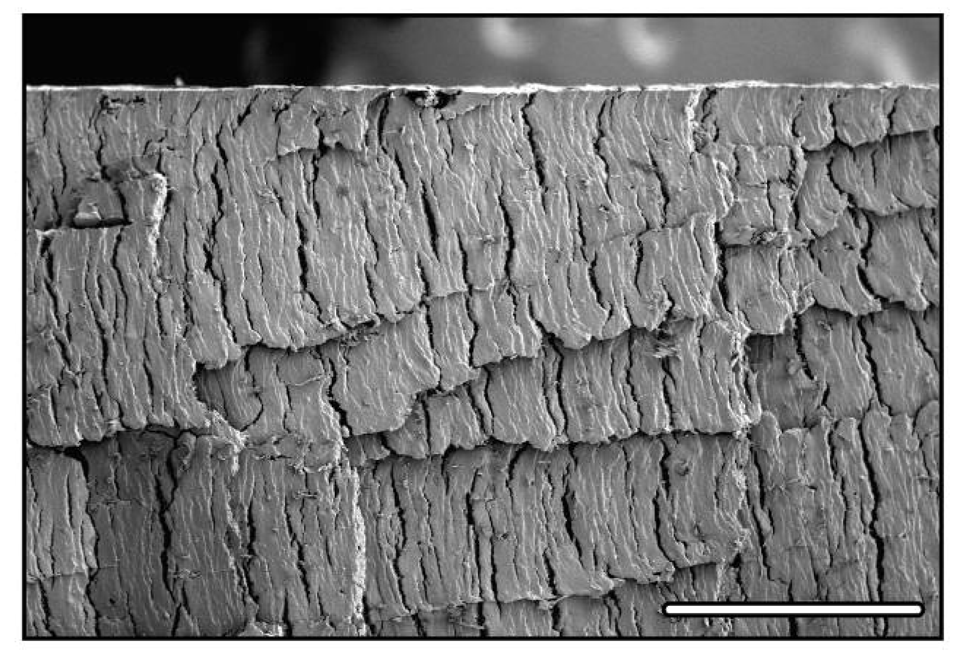 Materials 03 01913 g008