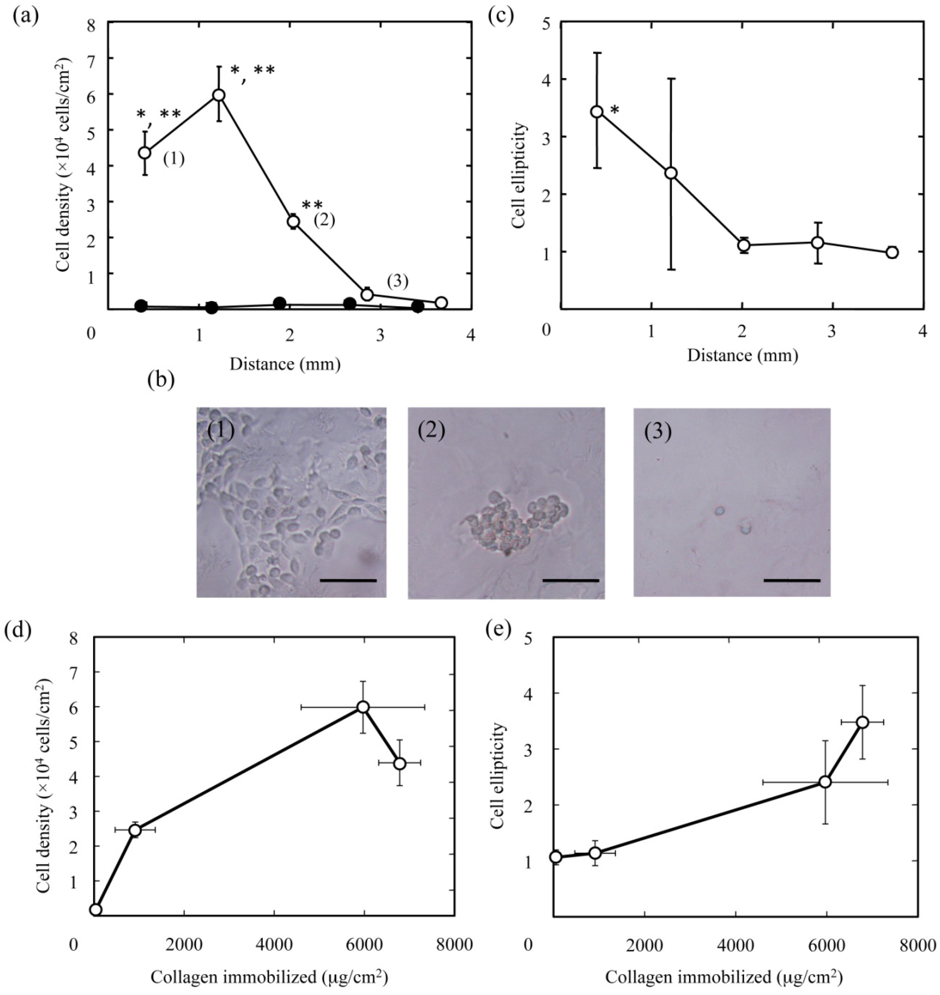 Materials 03 02393 g005 1024