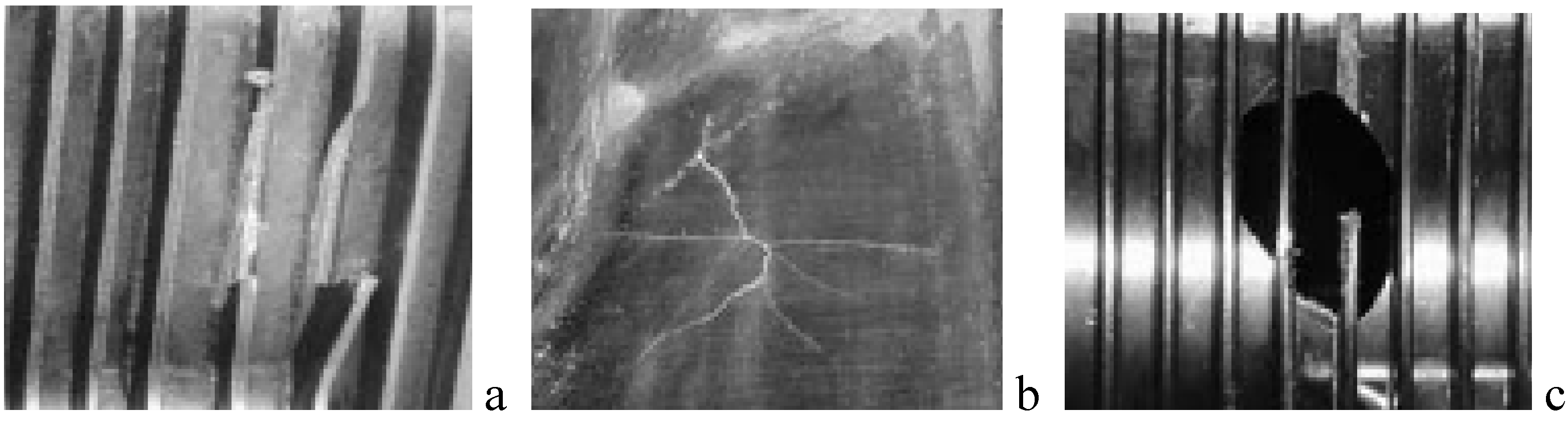 Materials 03 02463 g007 1024