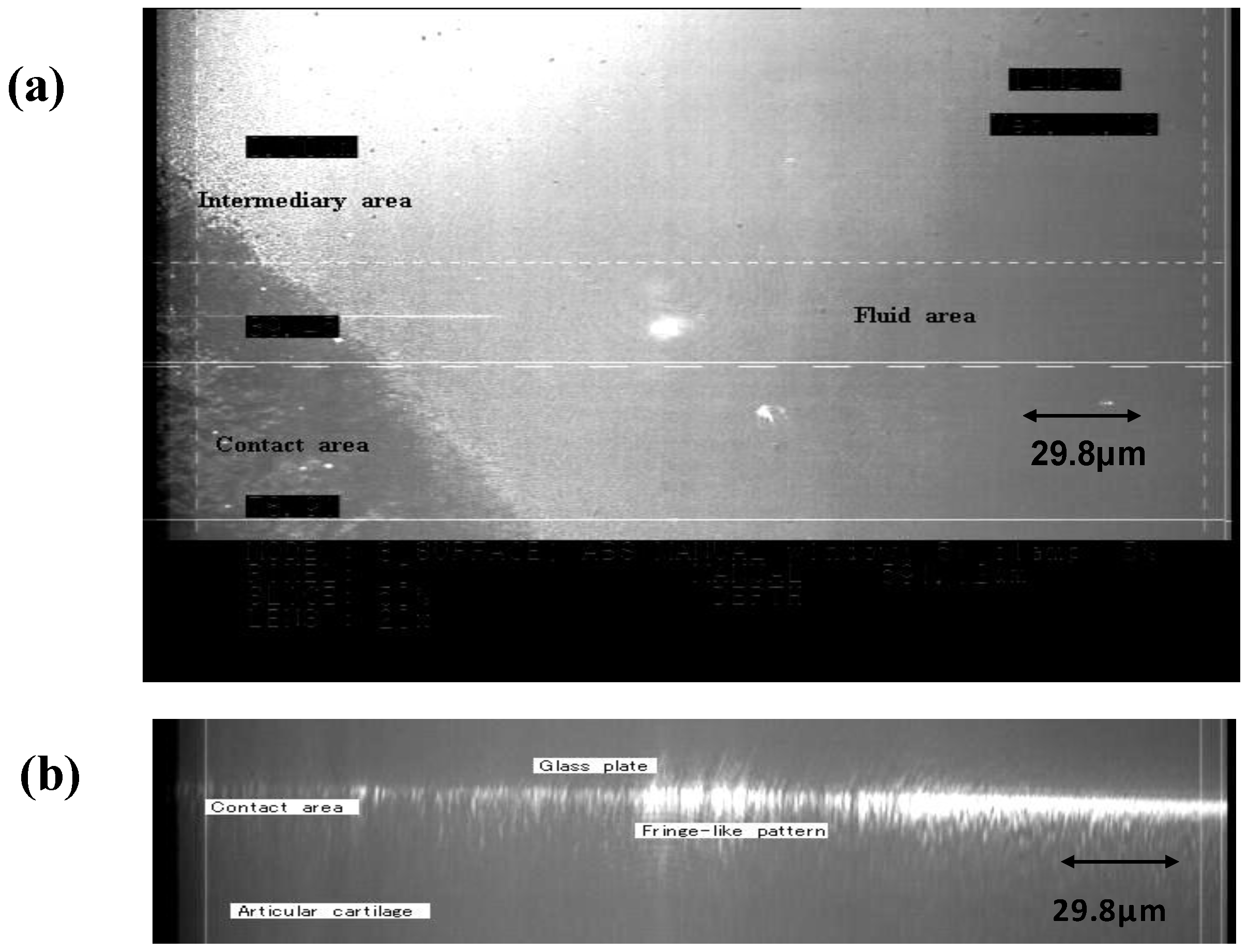 Materials 03 02753 g009 1024