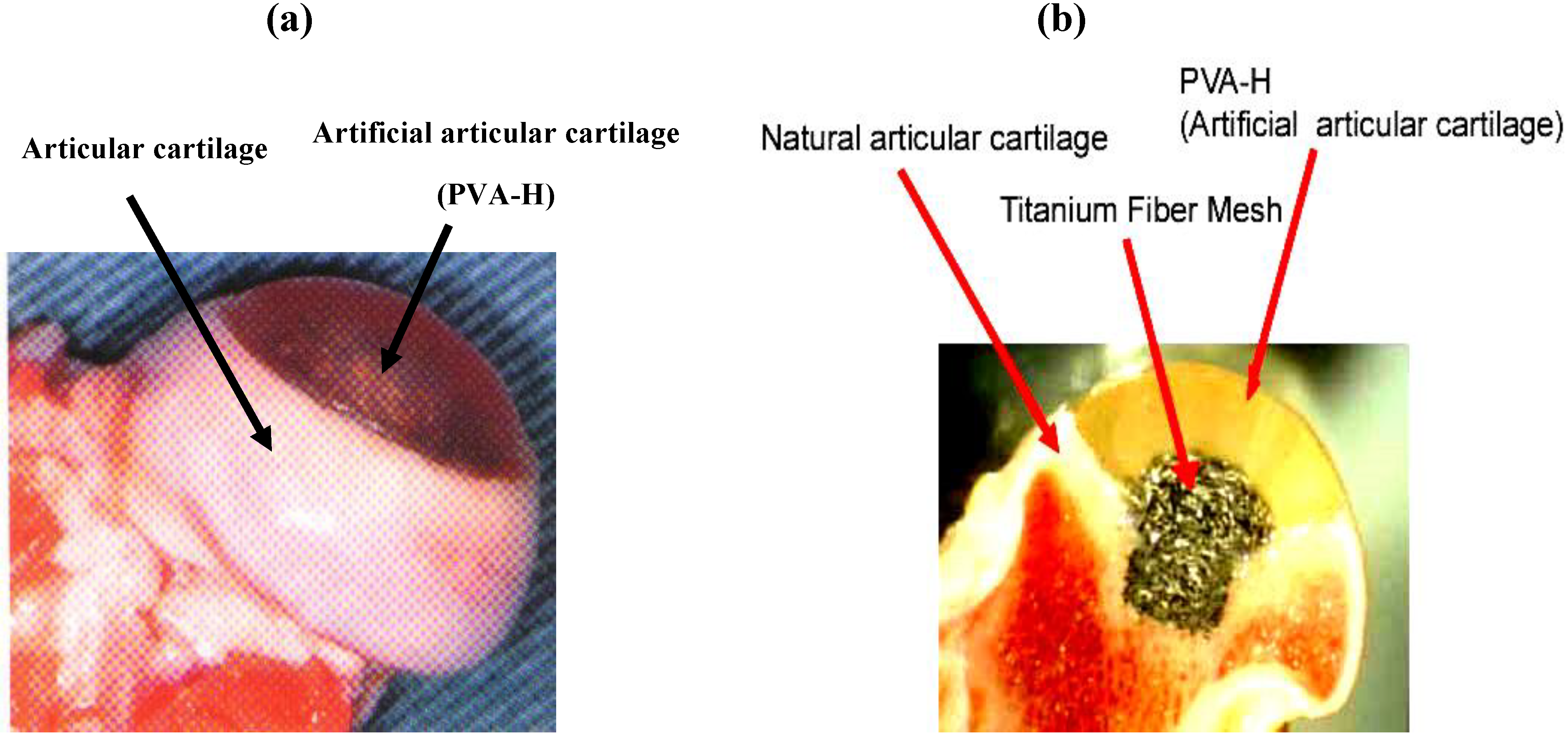 Materials 03 02753 g013 1024
