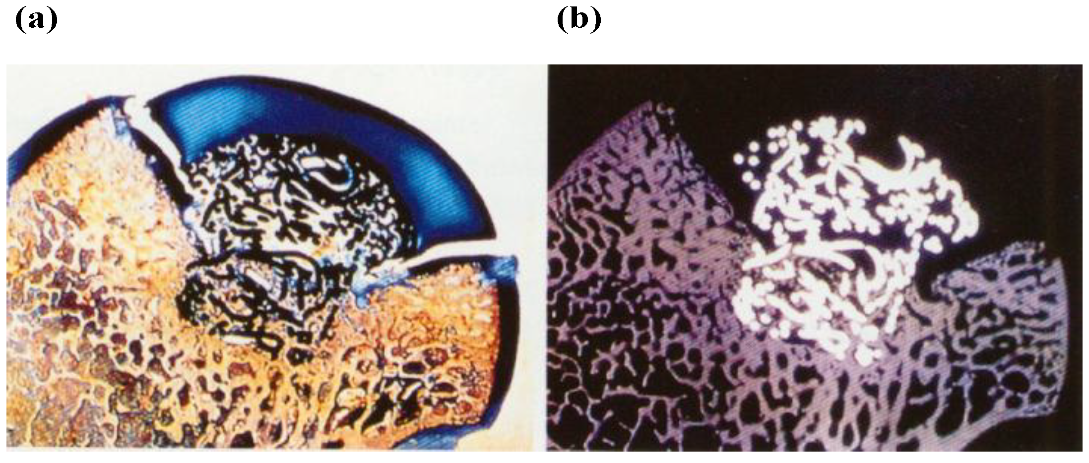 Materials 03 02753 g014 1024
