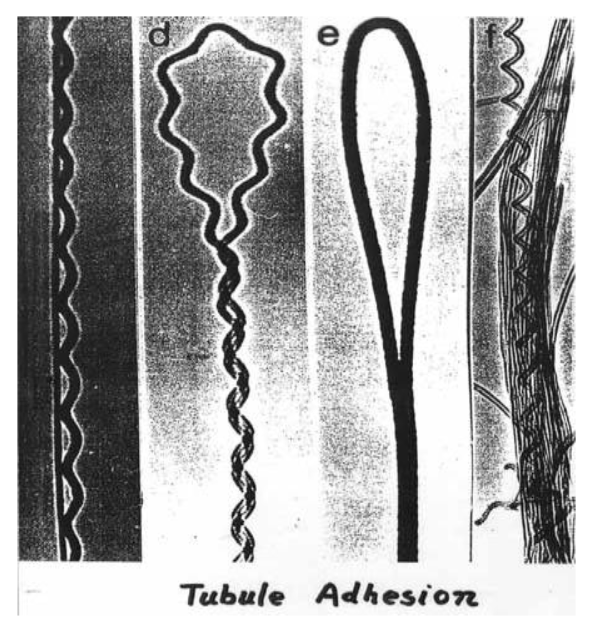 Materials 03 03092 g024