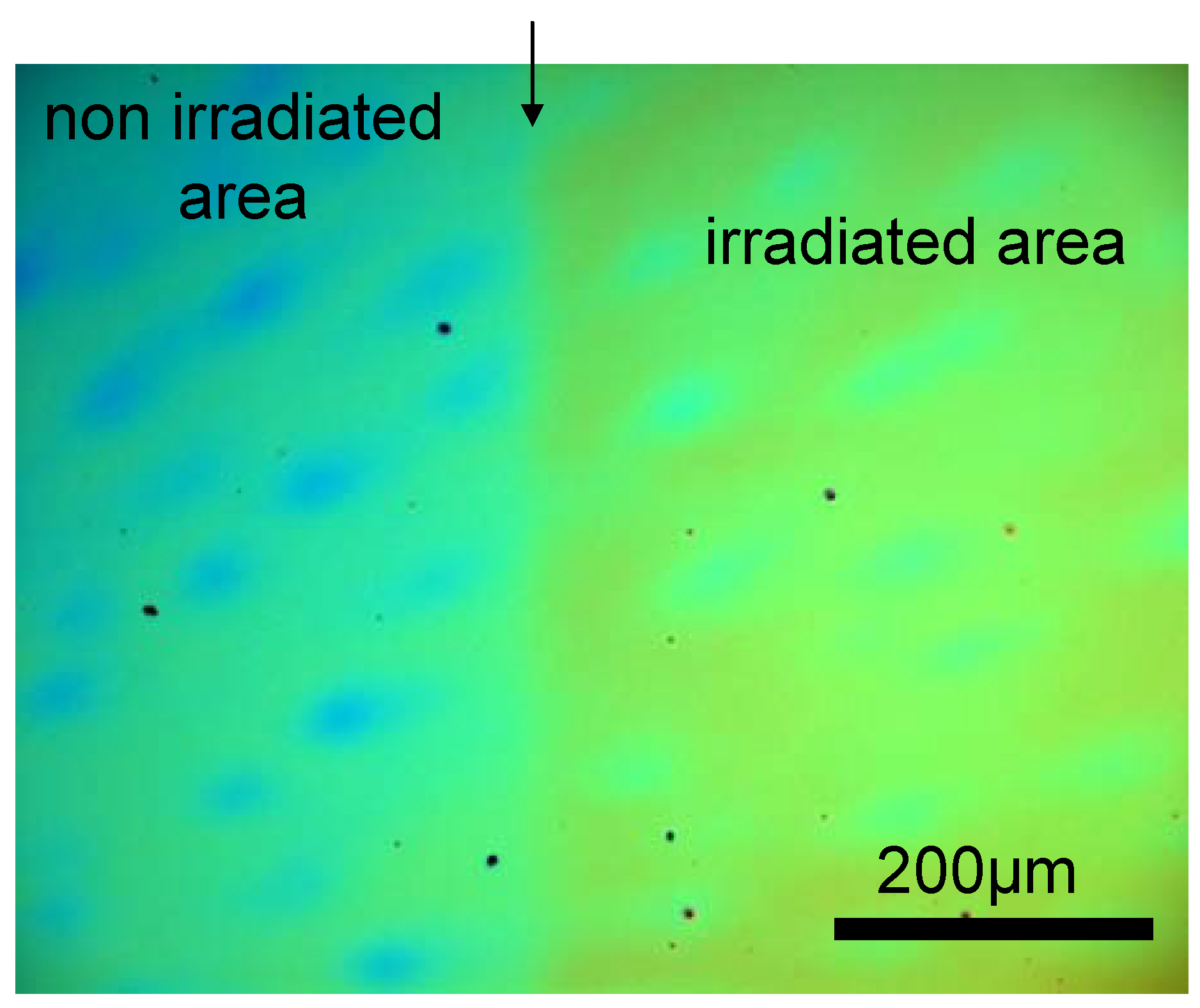 Materials 03 03369 g001