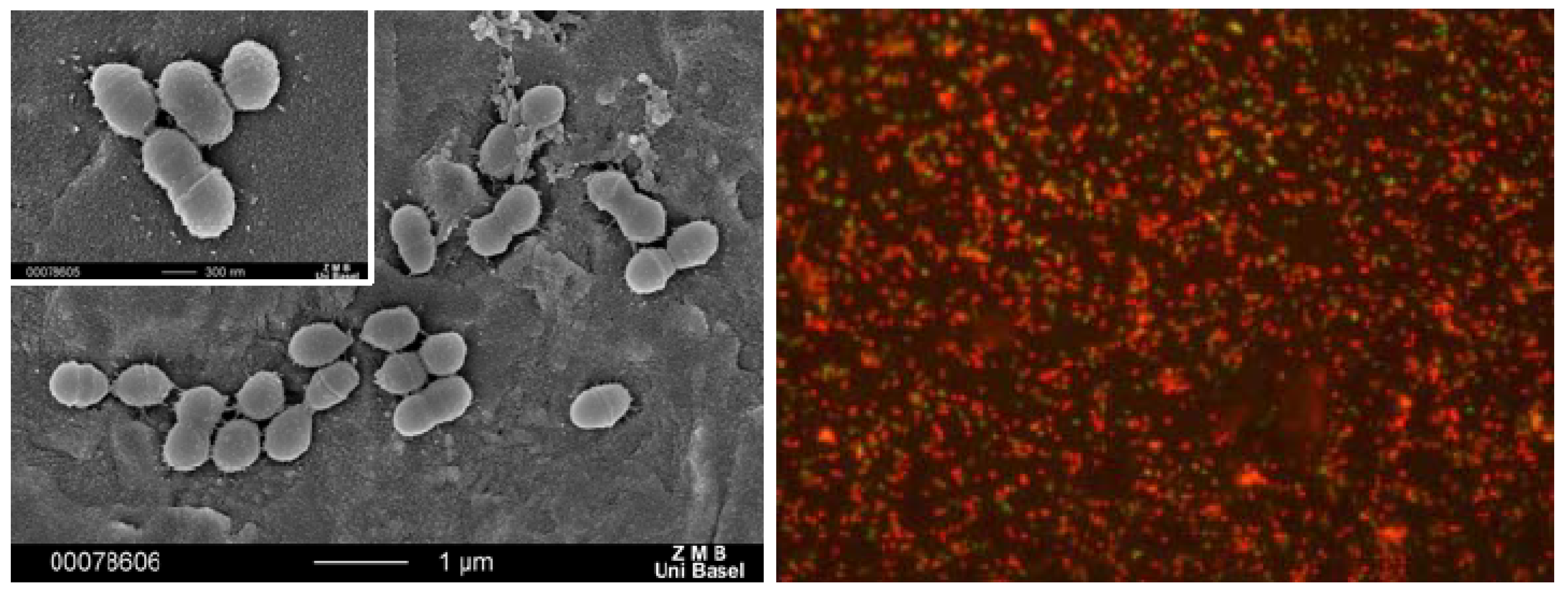 Materials 03 03407 g020 1024