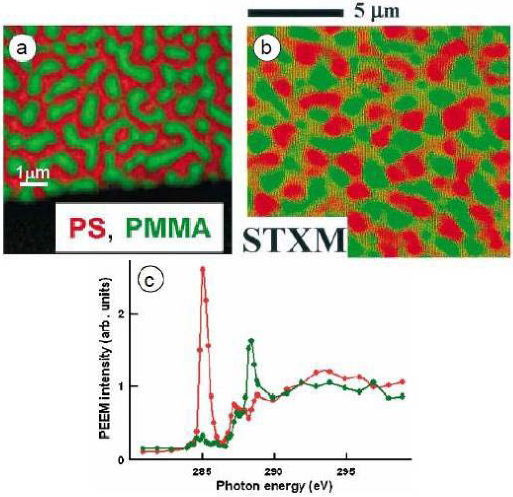 Frontiers Editorial Women In Biomaterials Science 2022