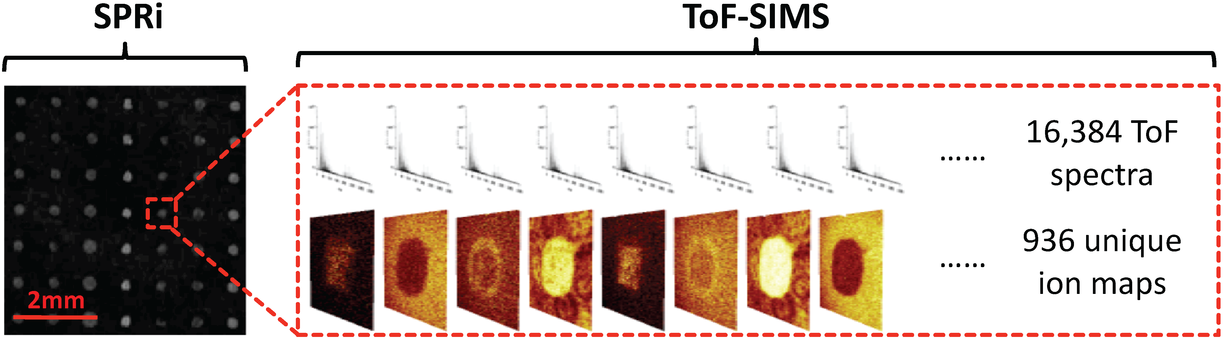 Materials 03 03948 g002 1024