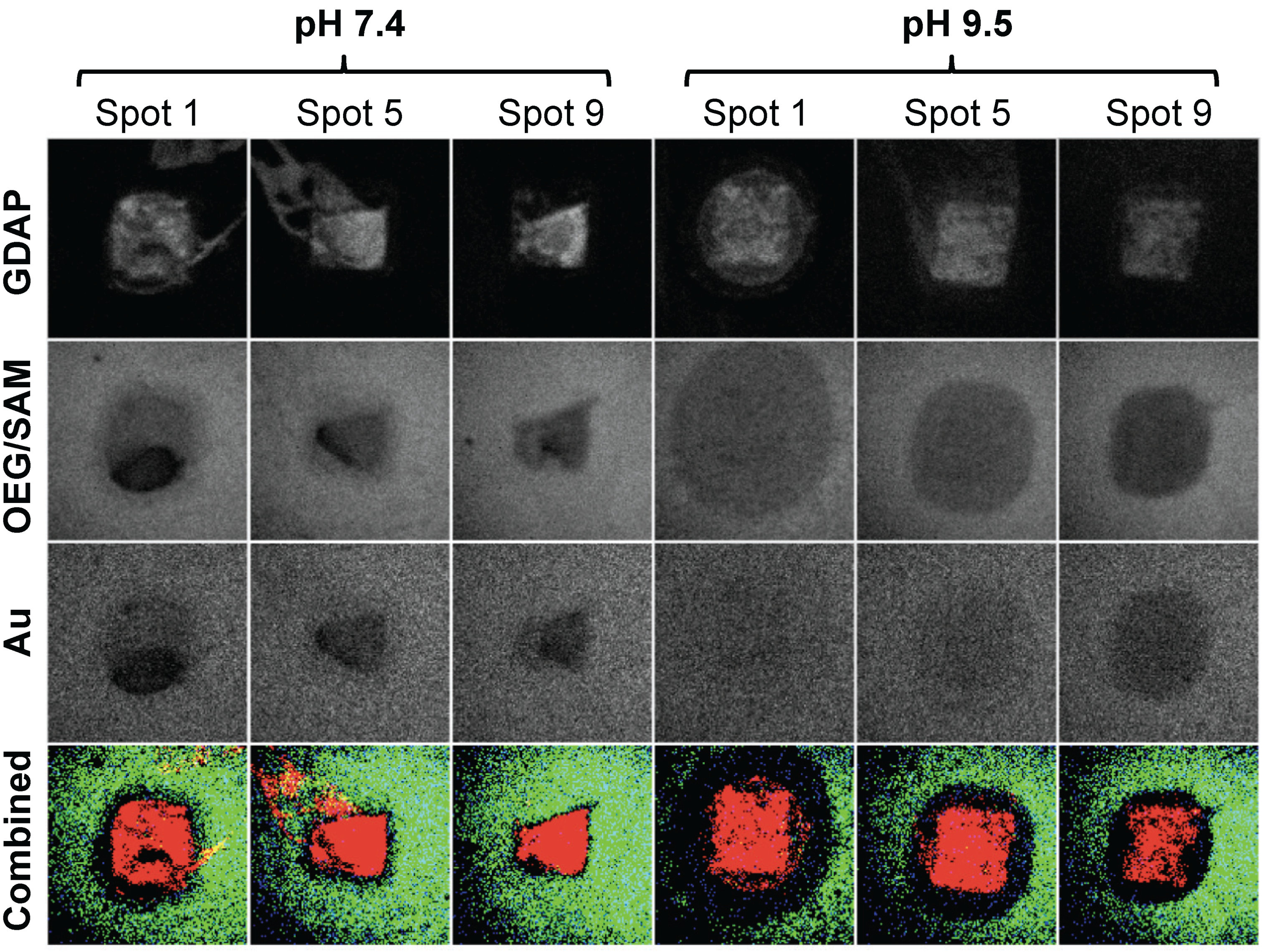 Materials 03 03948 g004 1024