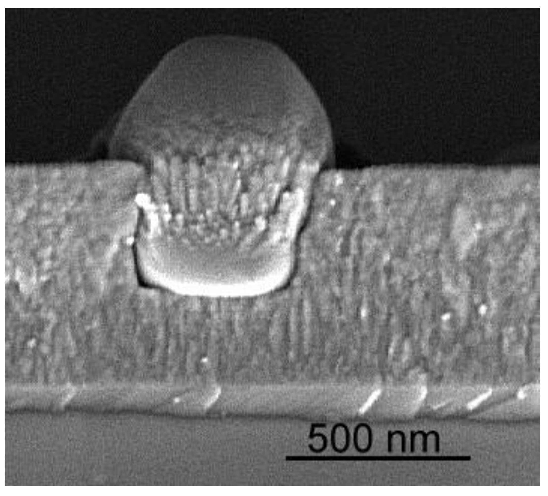 Materials 03 04109 g005 1024