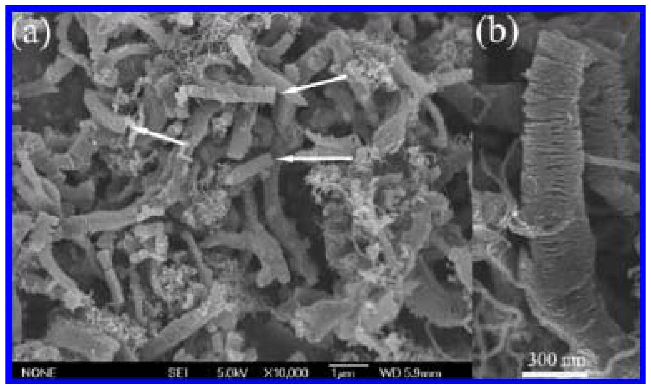 Materials 03 04142 g016