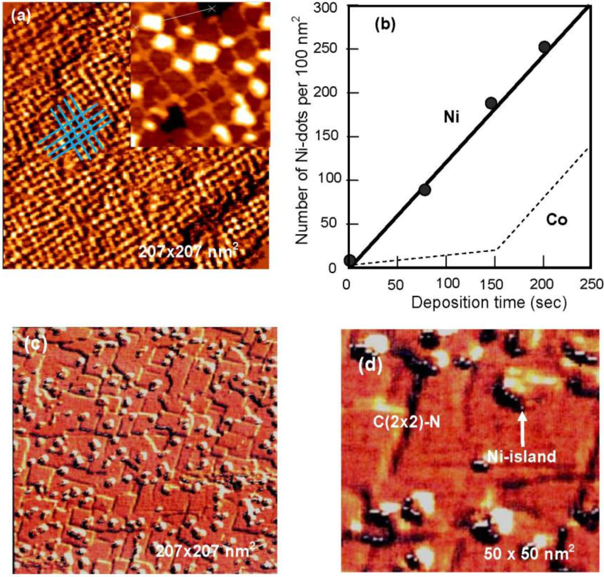 Materials 03 04518 g023 1024