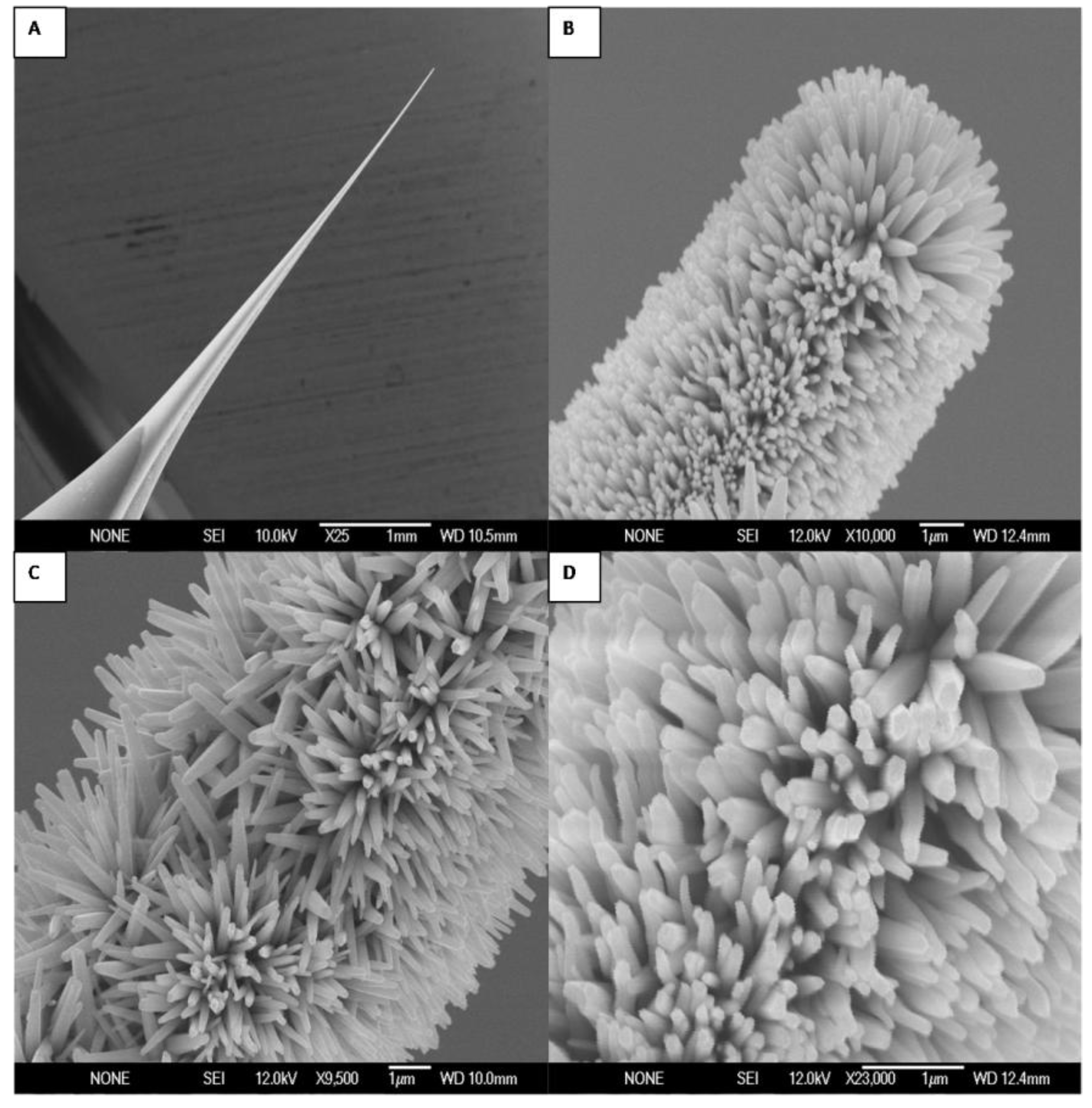 Materials 03 04657 g001 1024