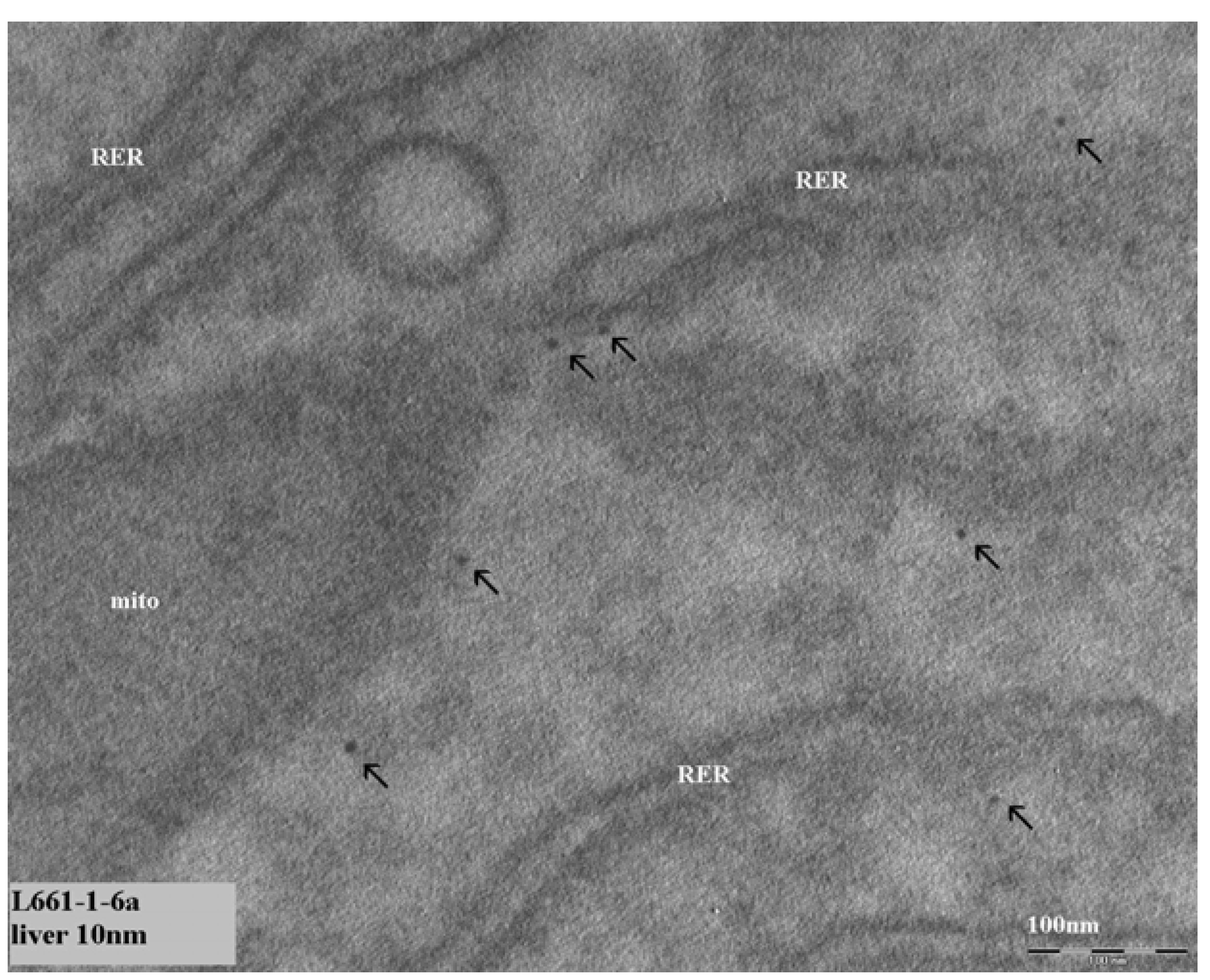 Materials 03 04681 g003 1024