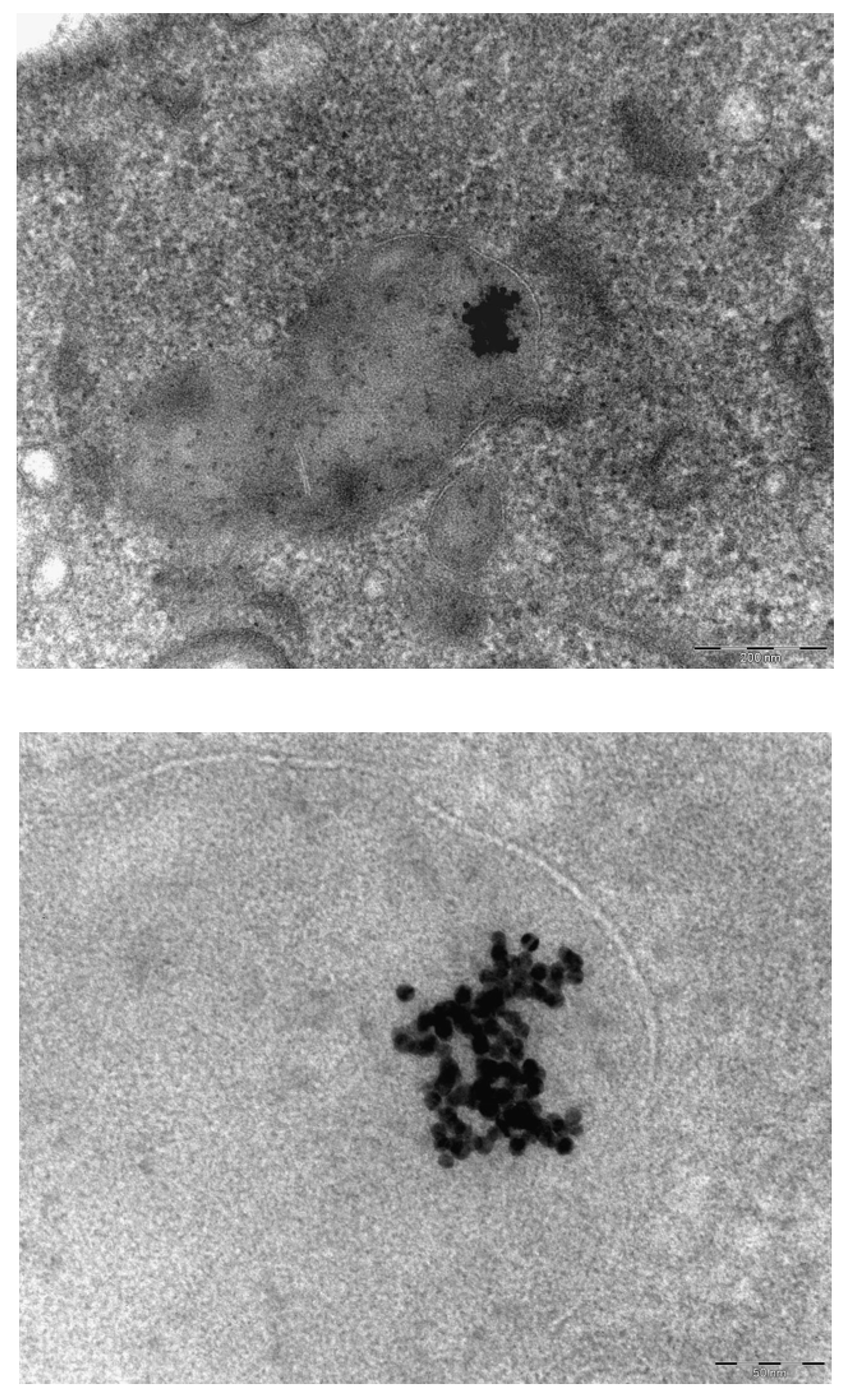 Materials 03 04681 g007 1024