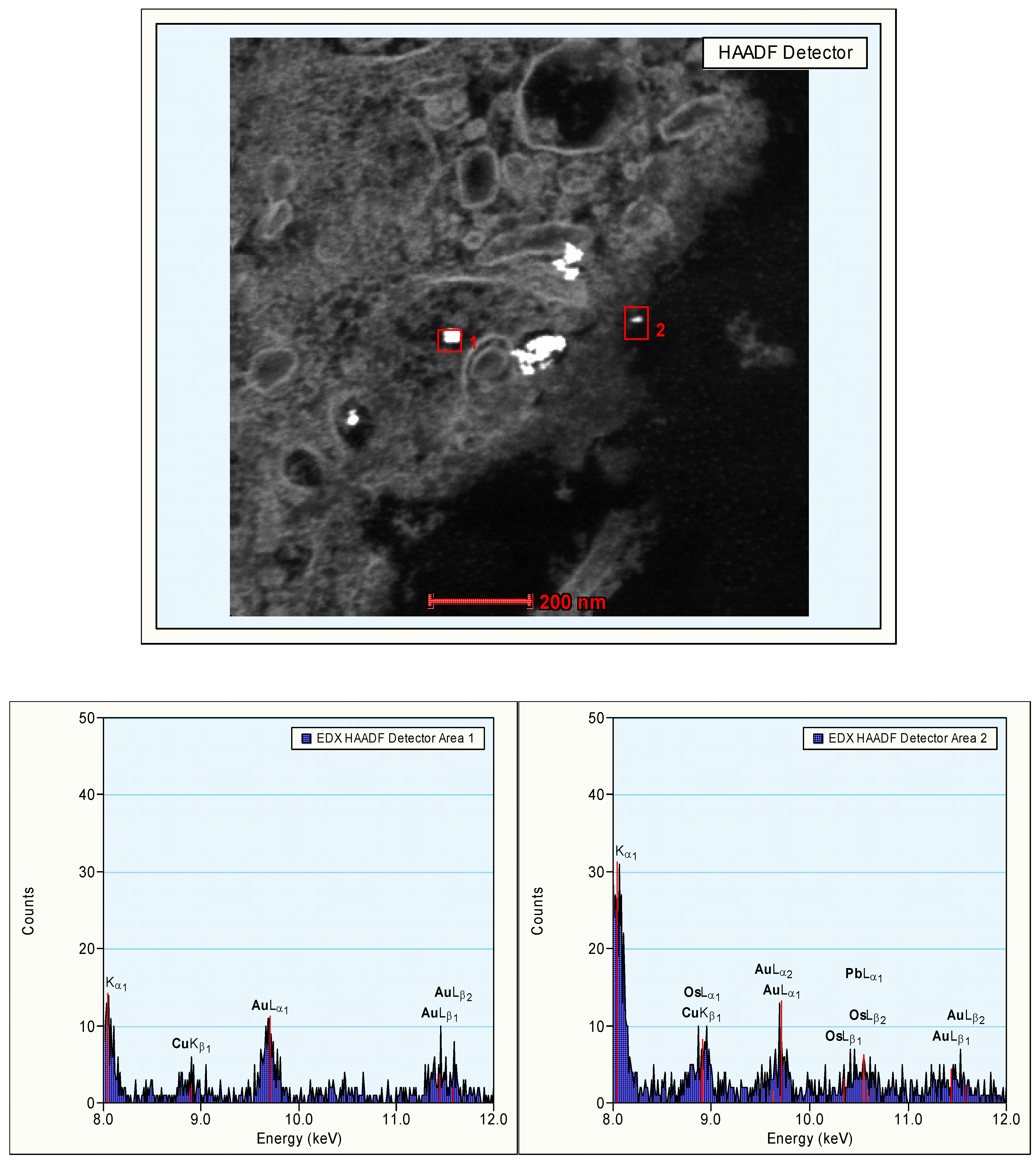 Materials 03 04681 g008 1024