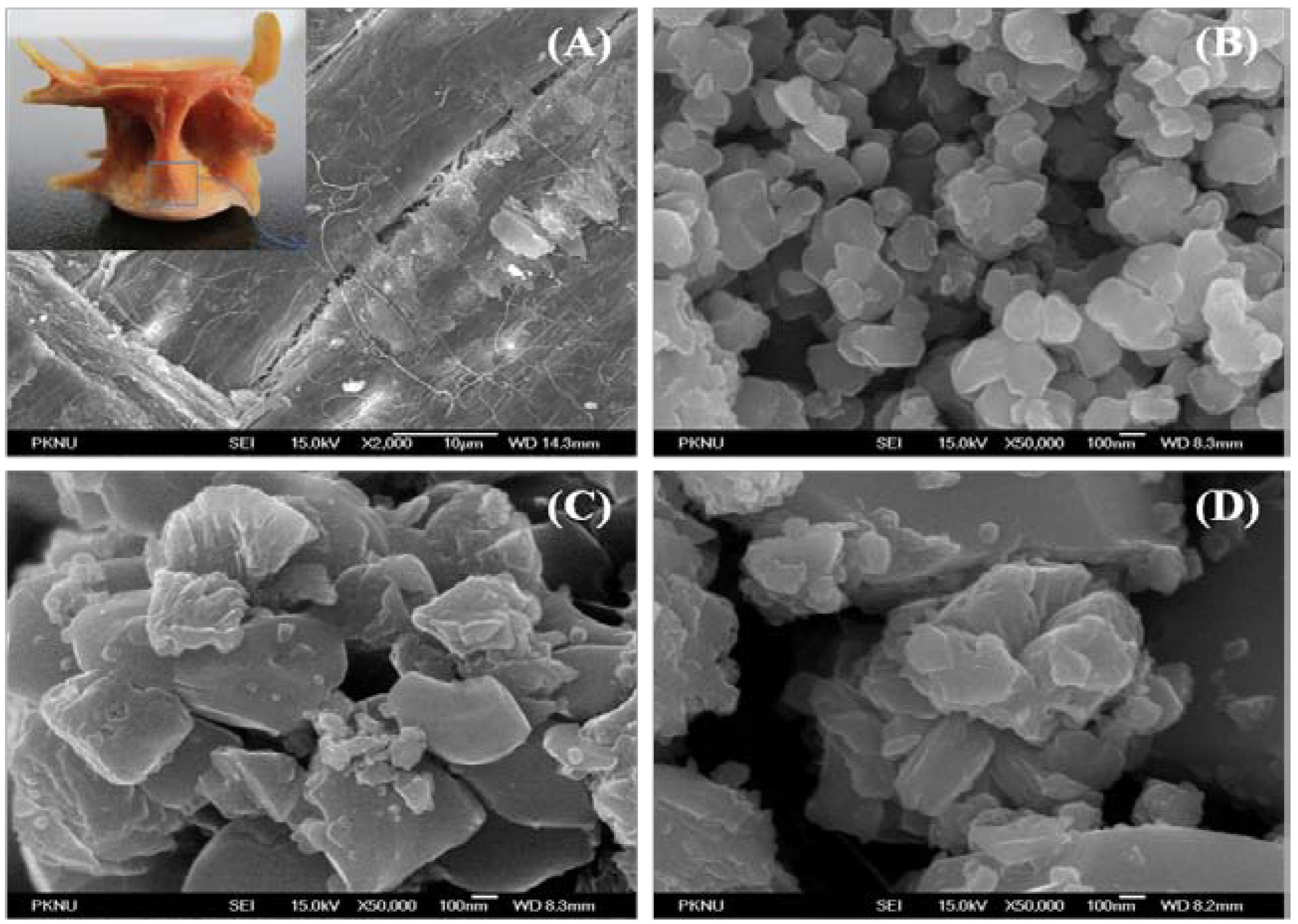 Materials 03 04761 g004