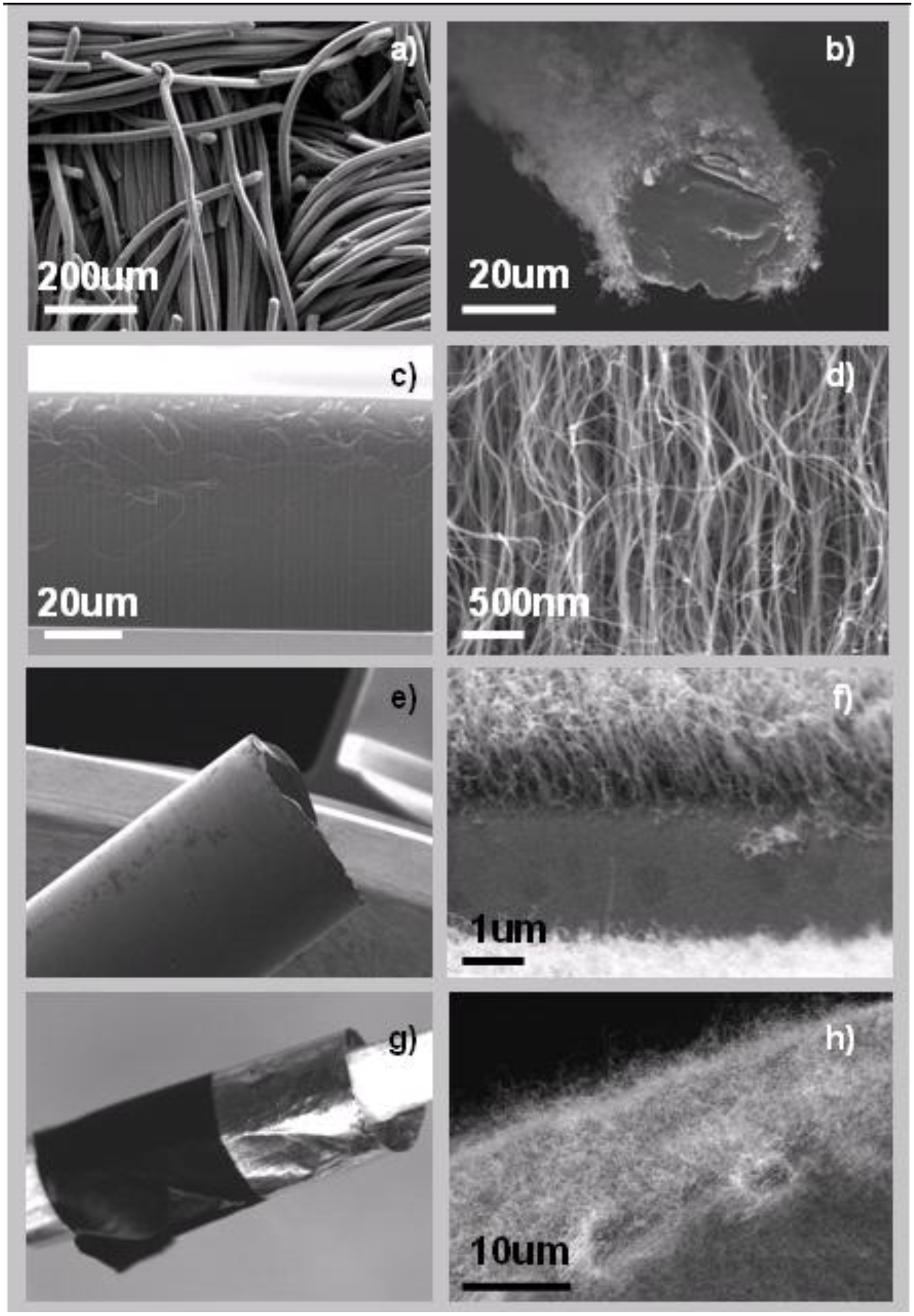 Materials 03 04871 g006