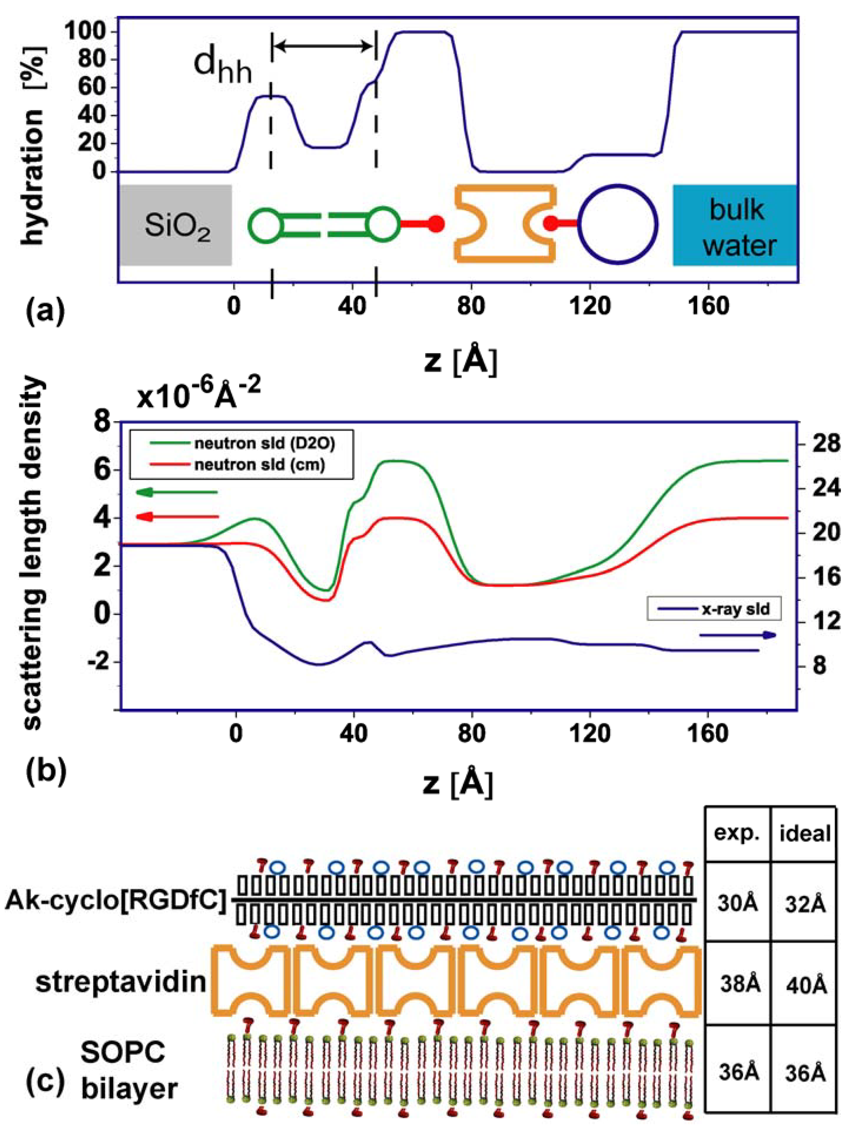 Materials 03 04994 g003