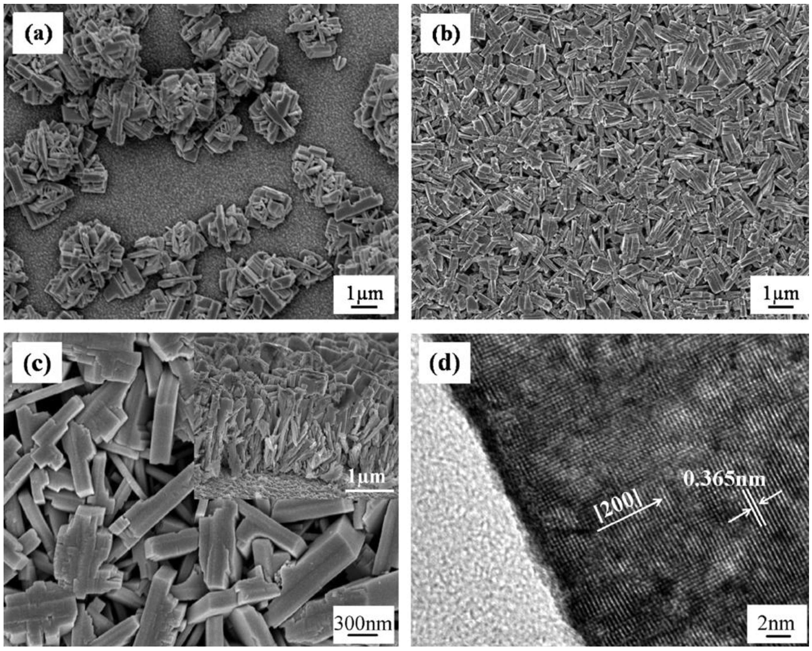 Materials 03 05029 g009