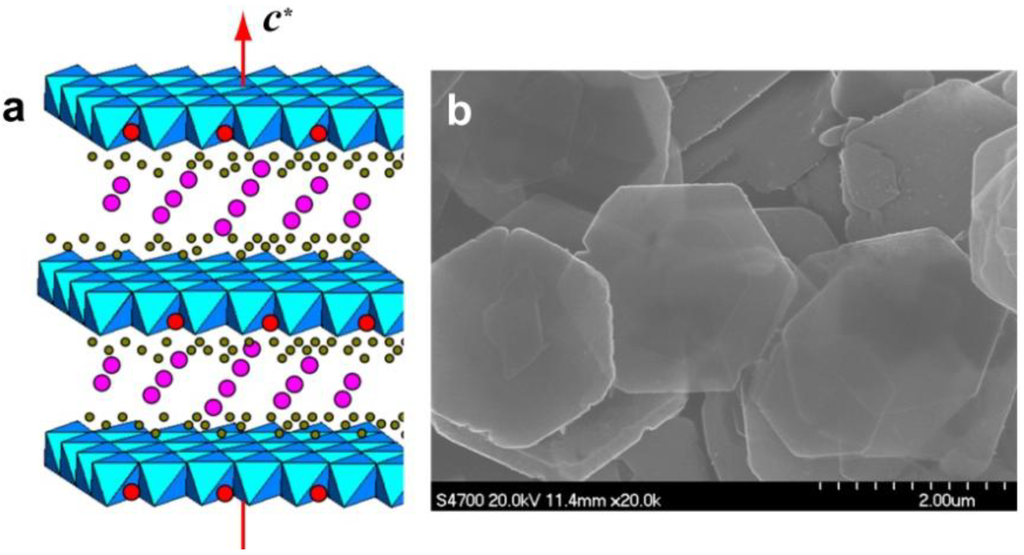 Materials Free FullText Morphologies, Preparations and