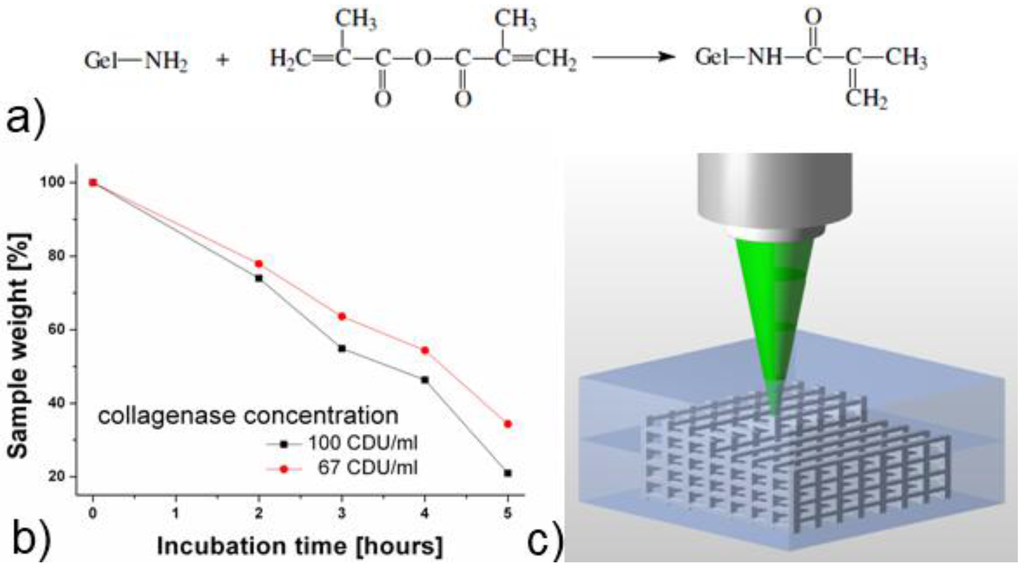 tissue engineering scaffold