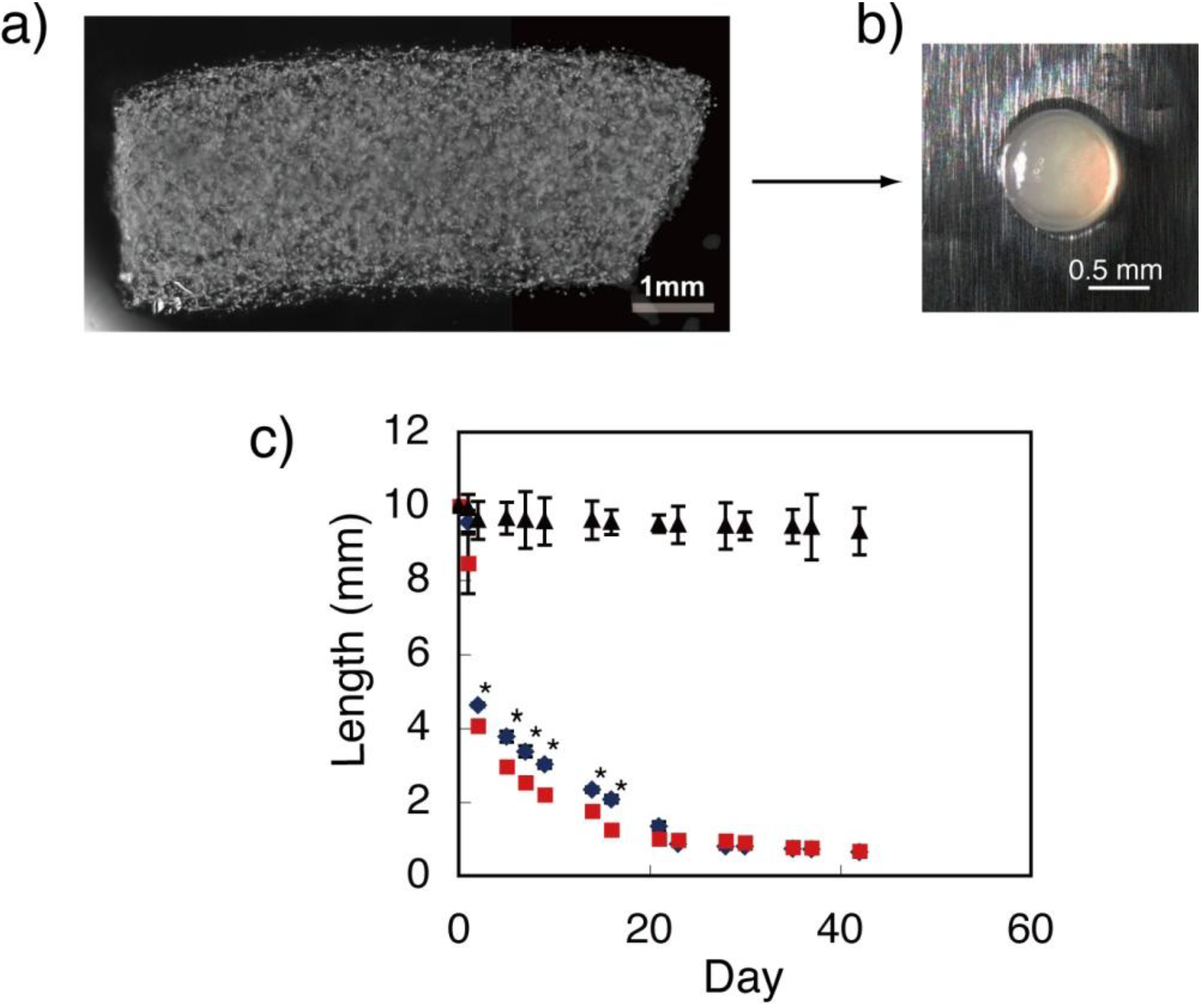 Materials 04 00327 g001