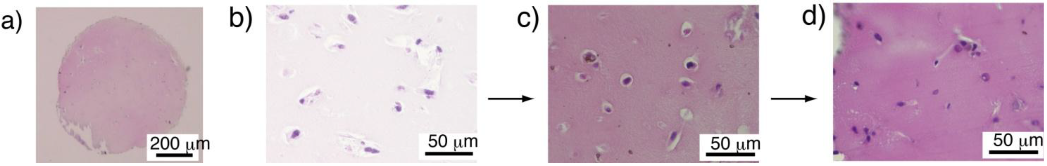 Materials 04 00327 g002