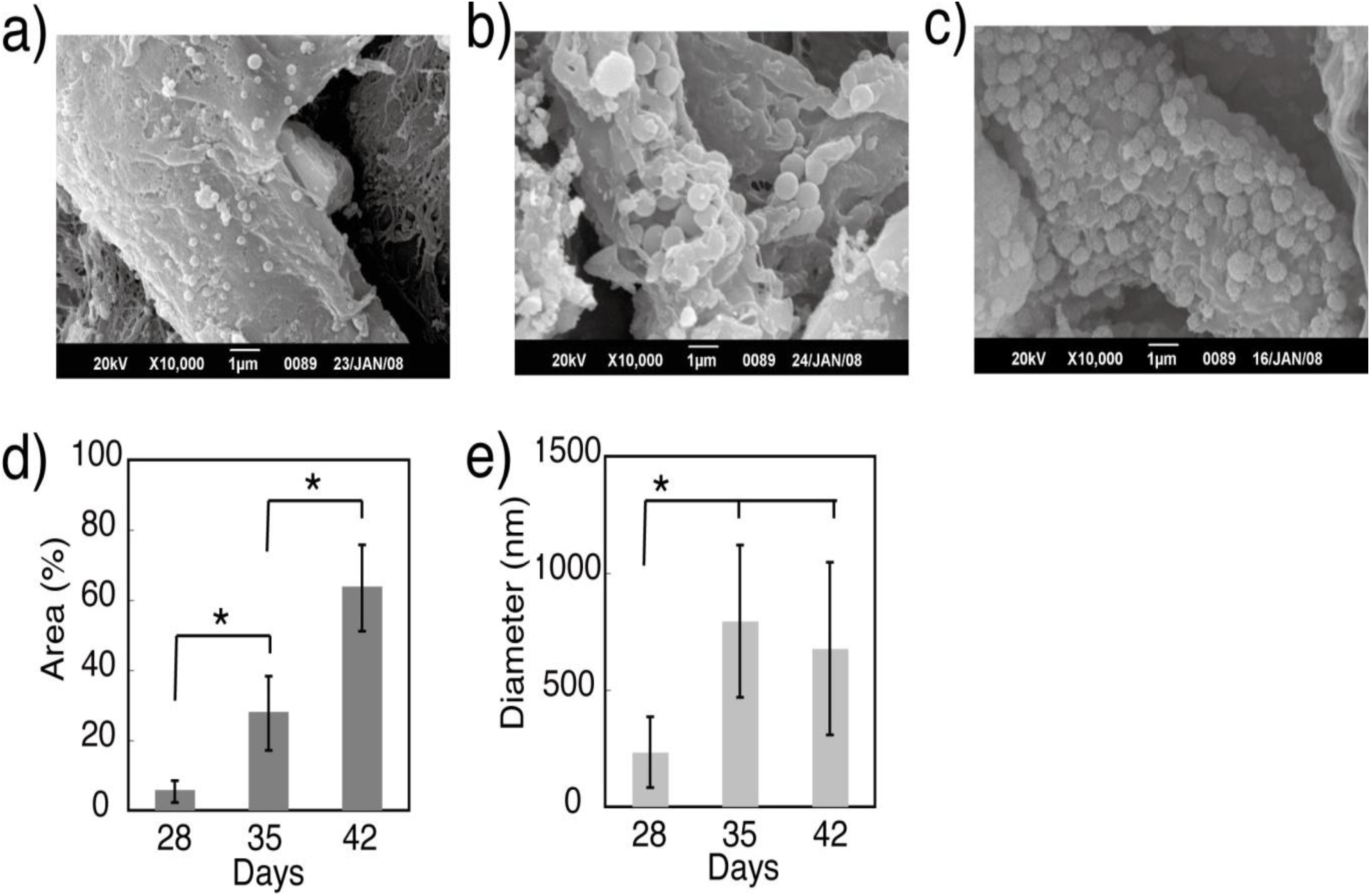 Materials 04 00327 g005