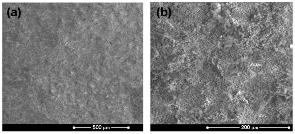tissue engineering scaffold