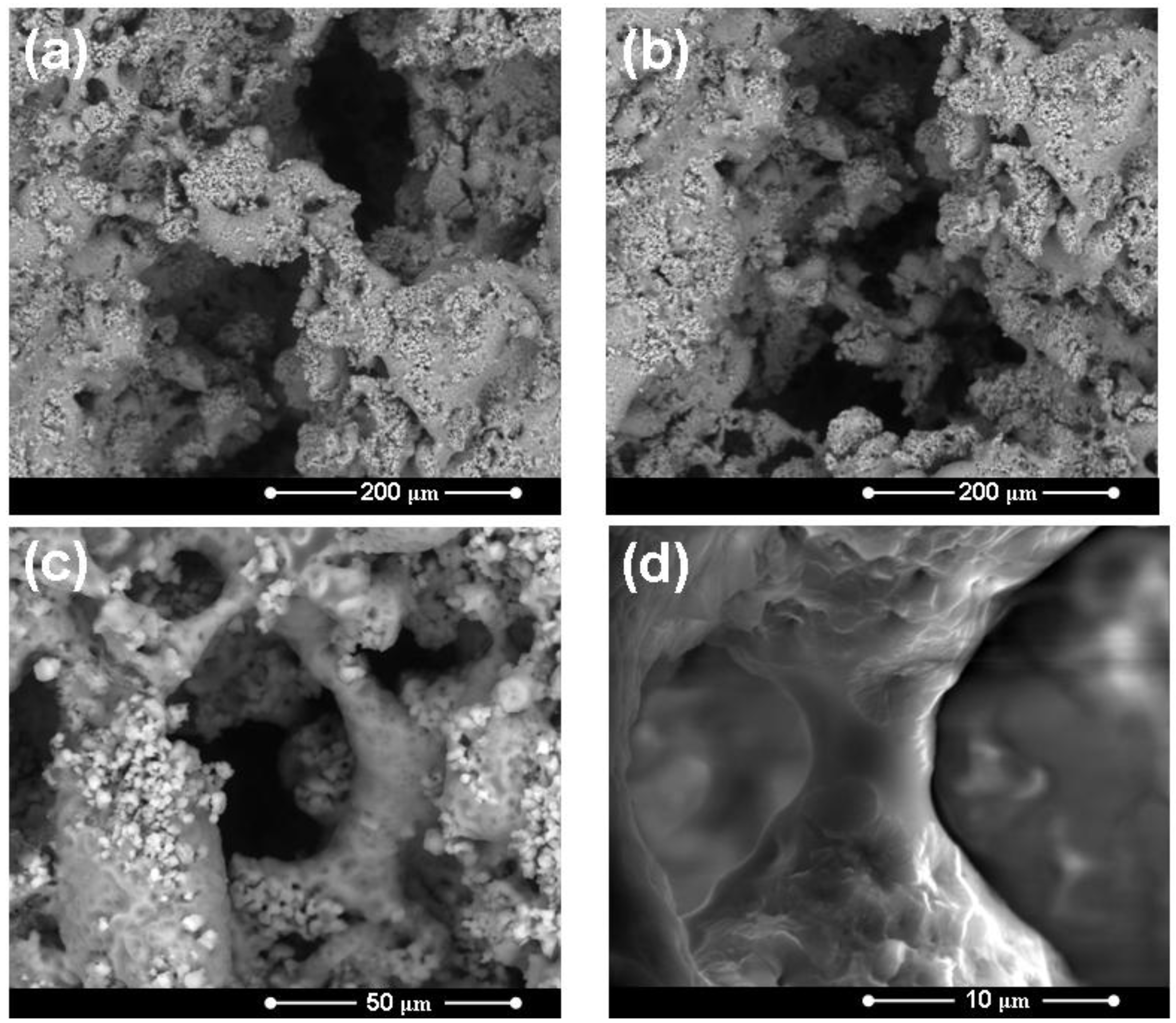 Materials 04 00339 g009 1024