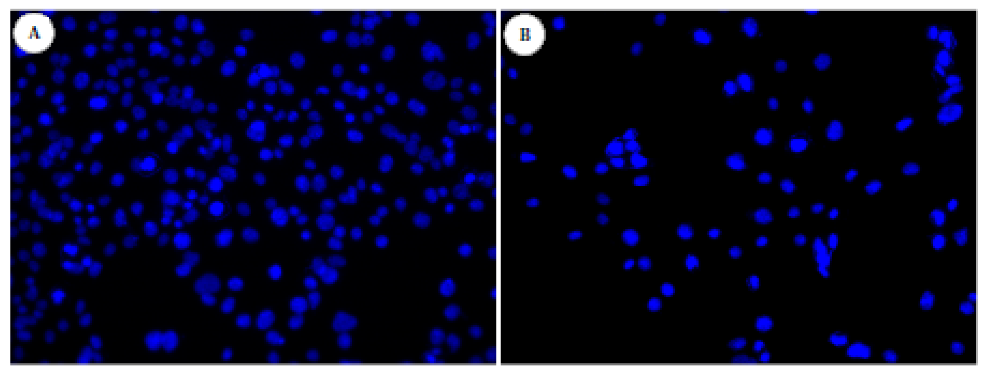 Materials 04 00355 g006