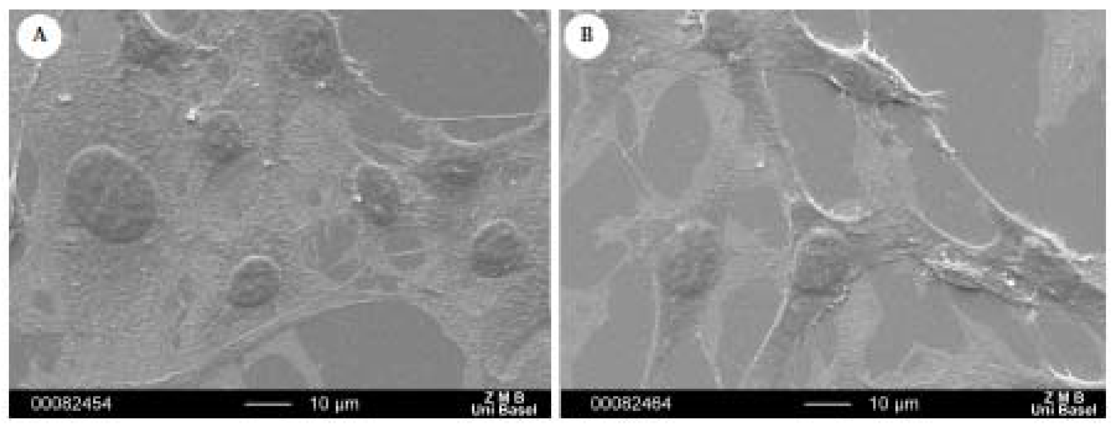 Materials 04 00355 g007