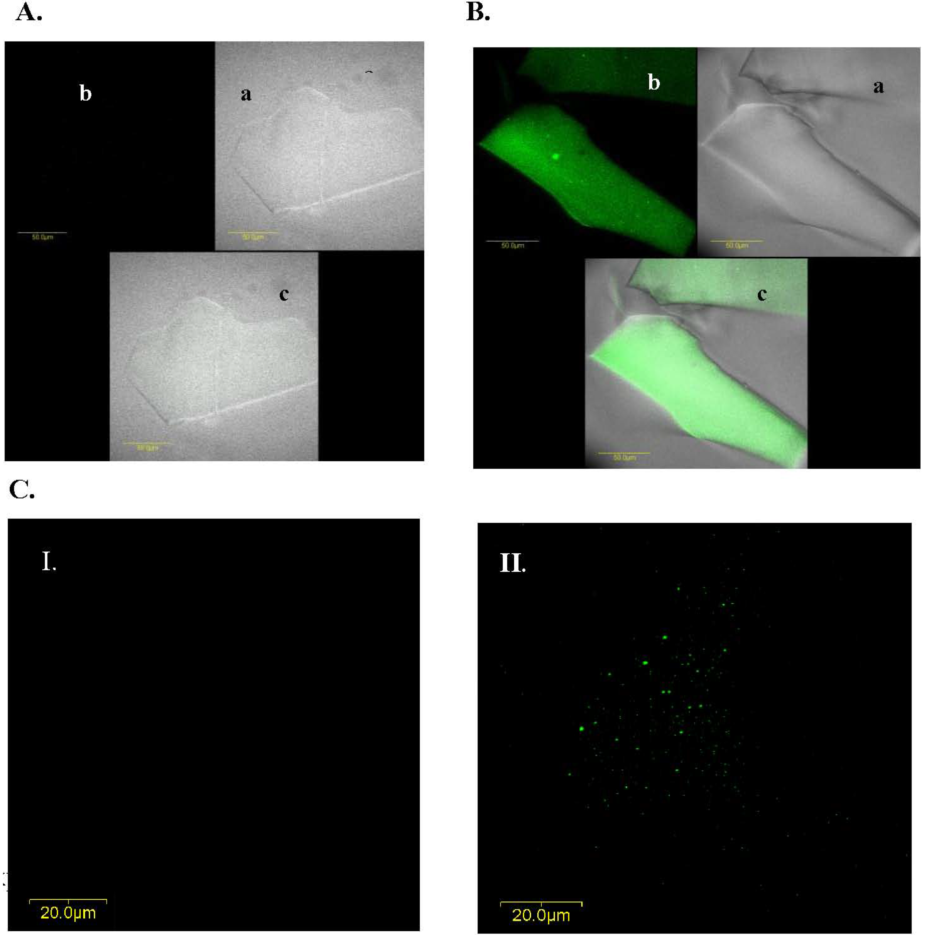 Materials 04 00469 g006 1024