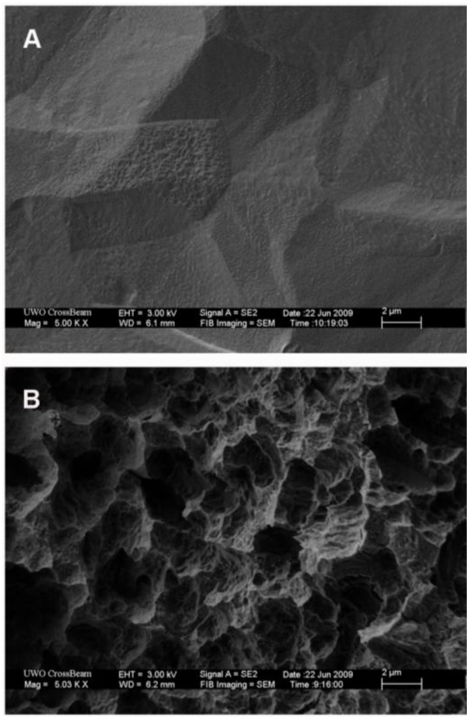 Materials 04 00893 g001 1024