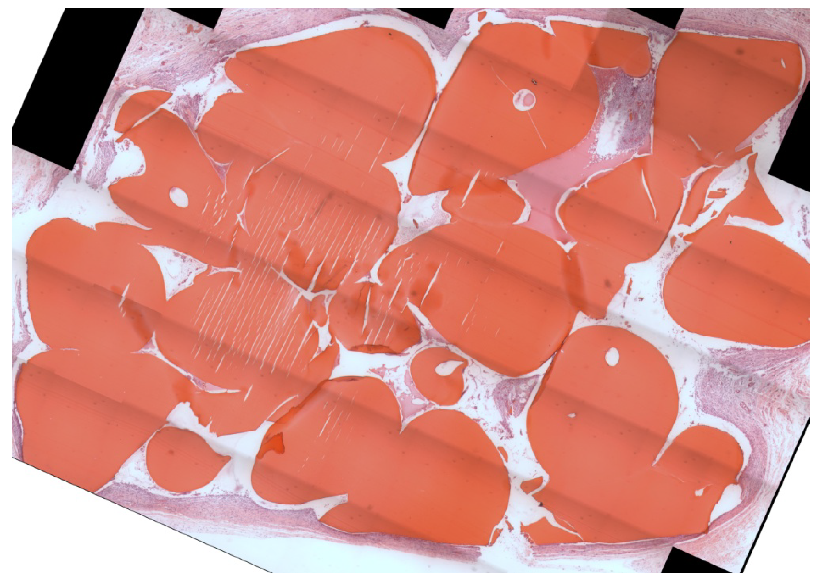 Materials 04 01360 g002 1024