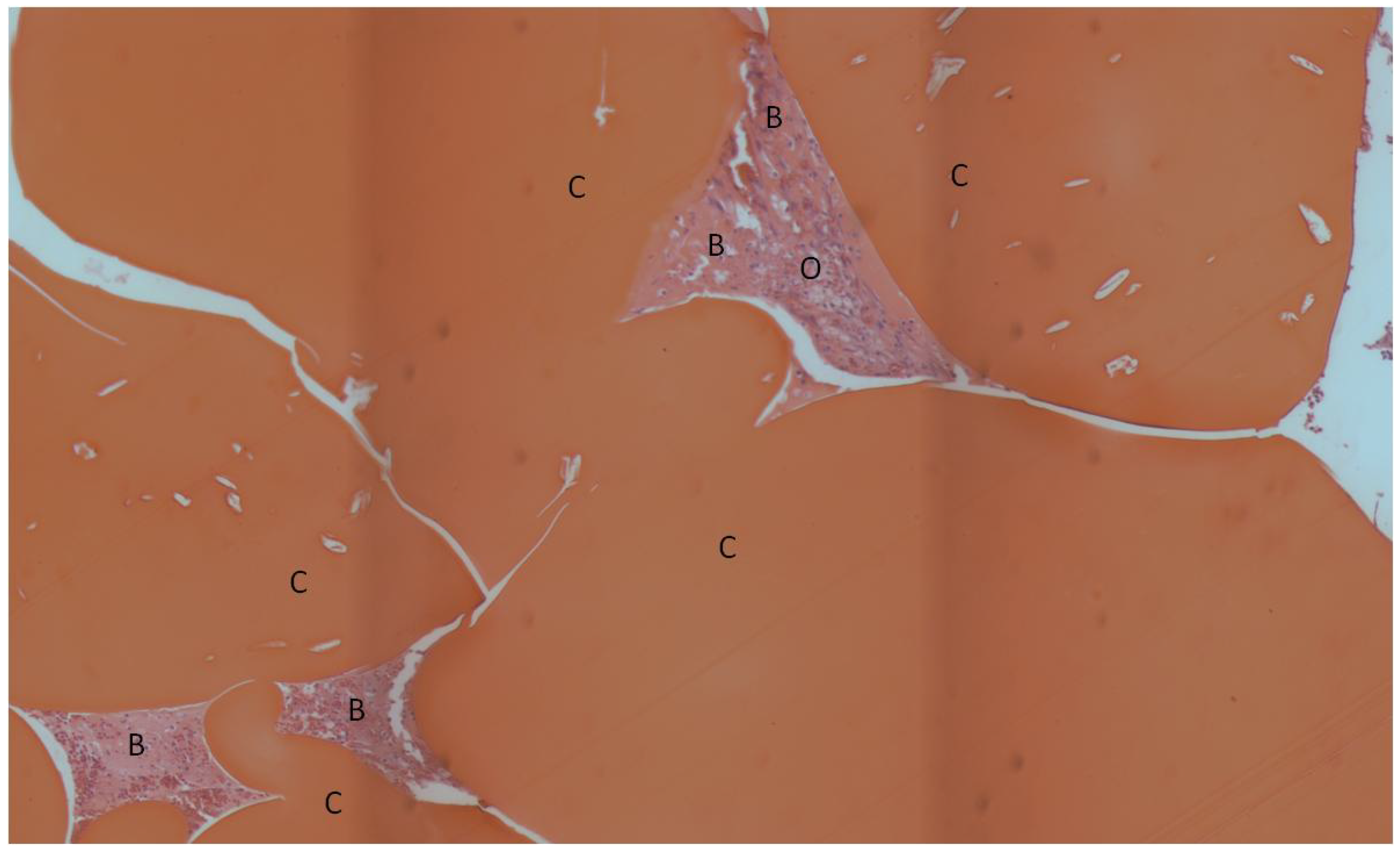 Materials 04 01360 g005 1024