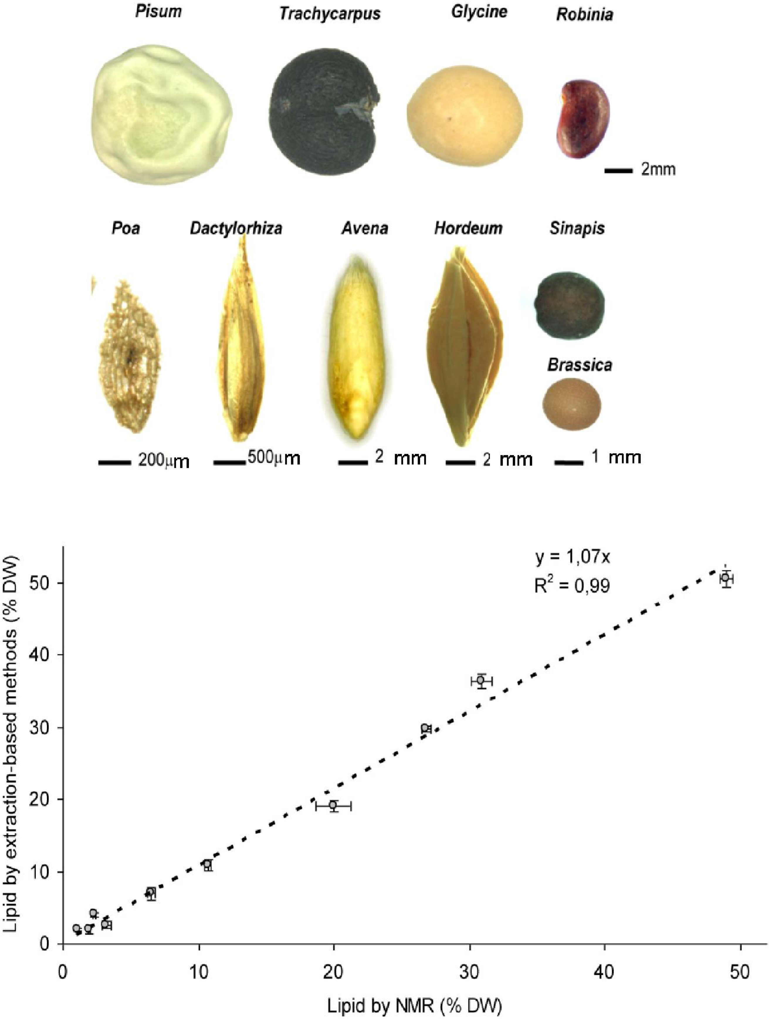Materials 04 01426 g001 1024