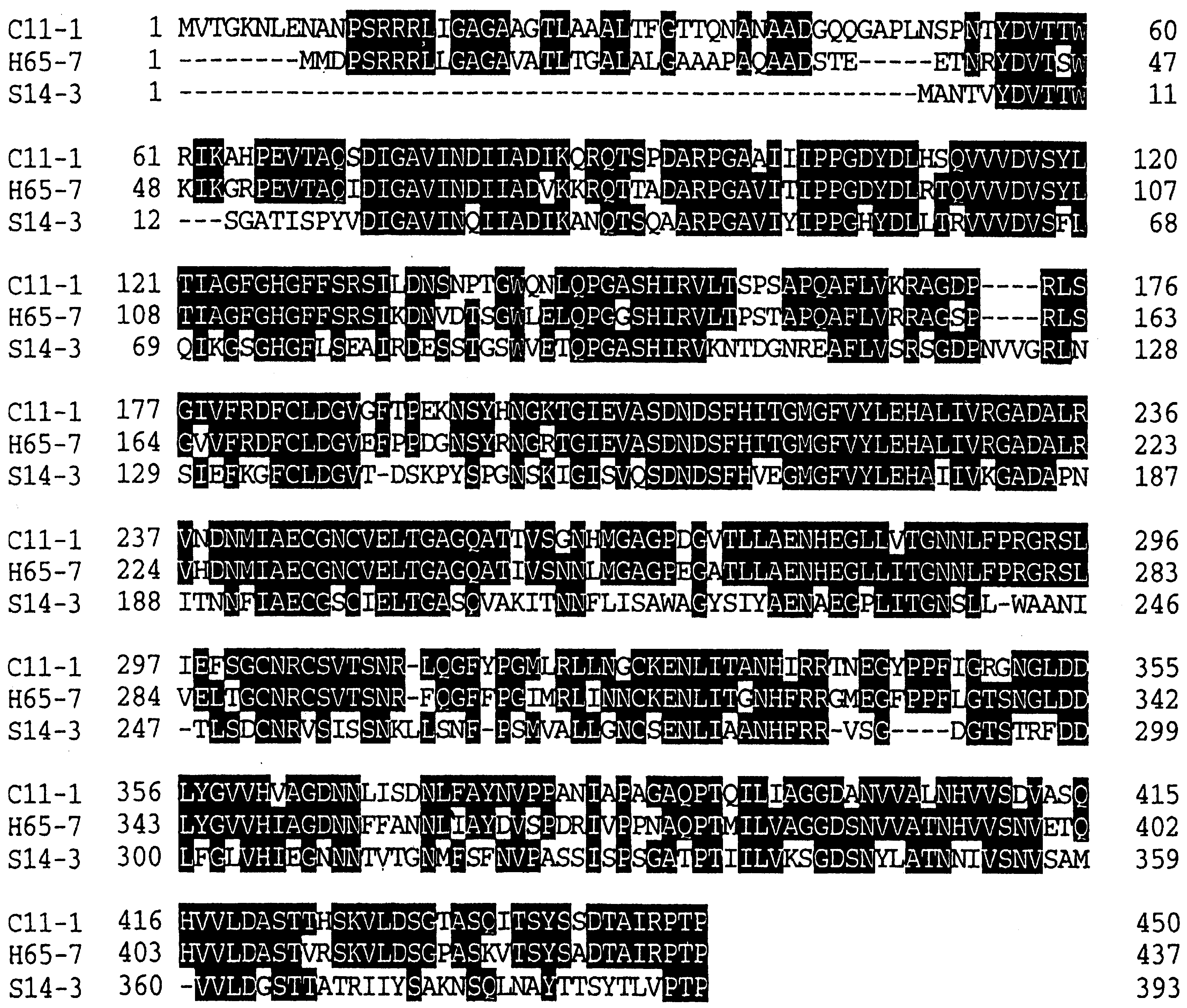 Materials 04 01543 g002 1024