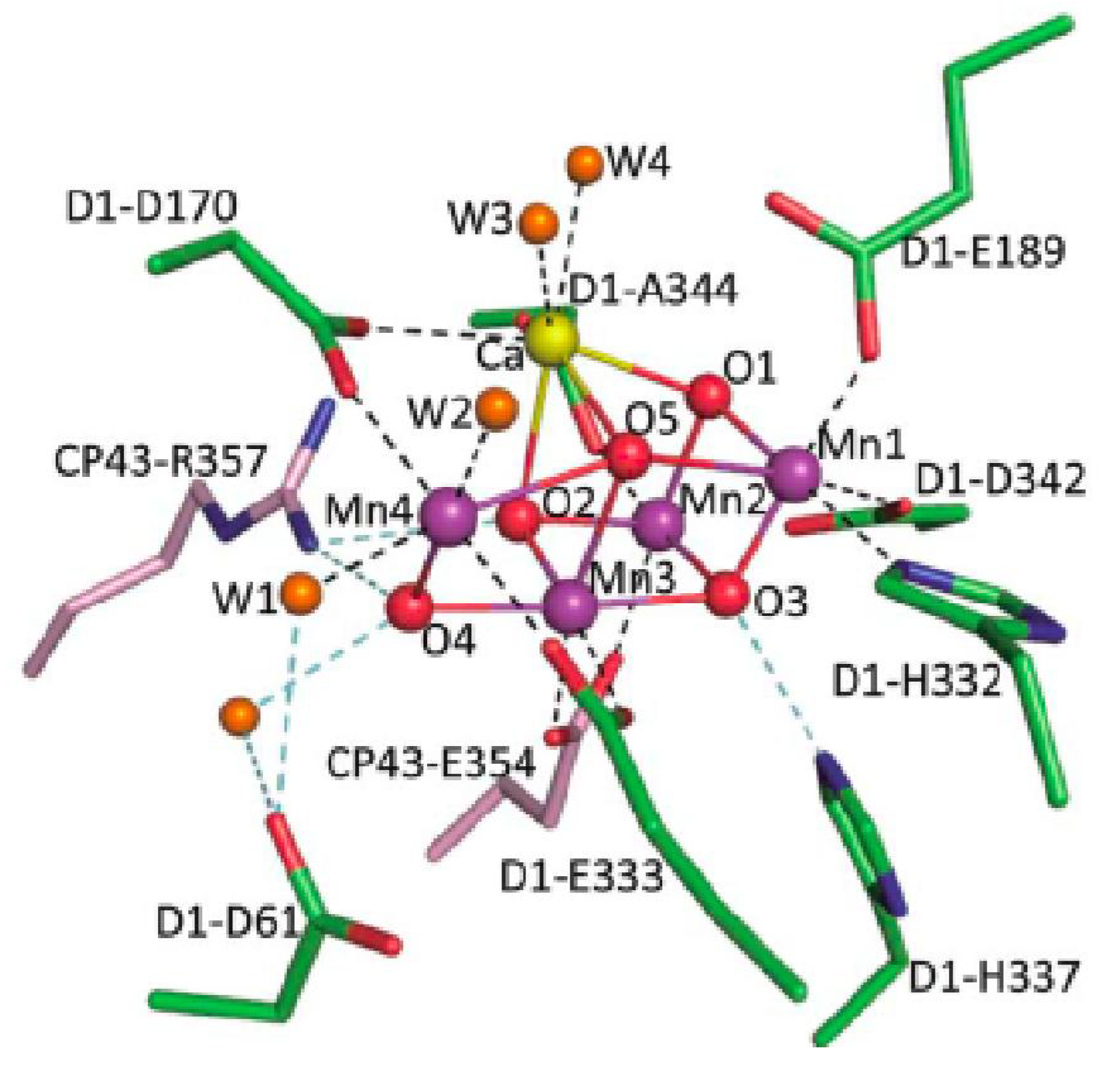 Materials 04 01693 g001 1024