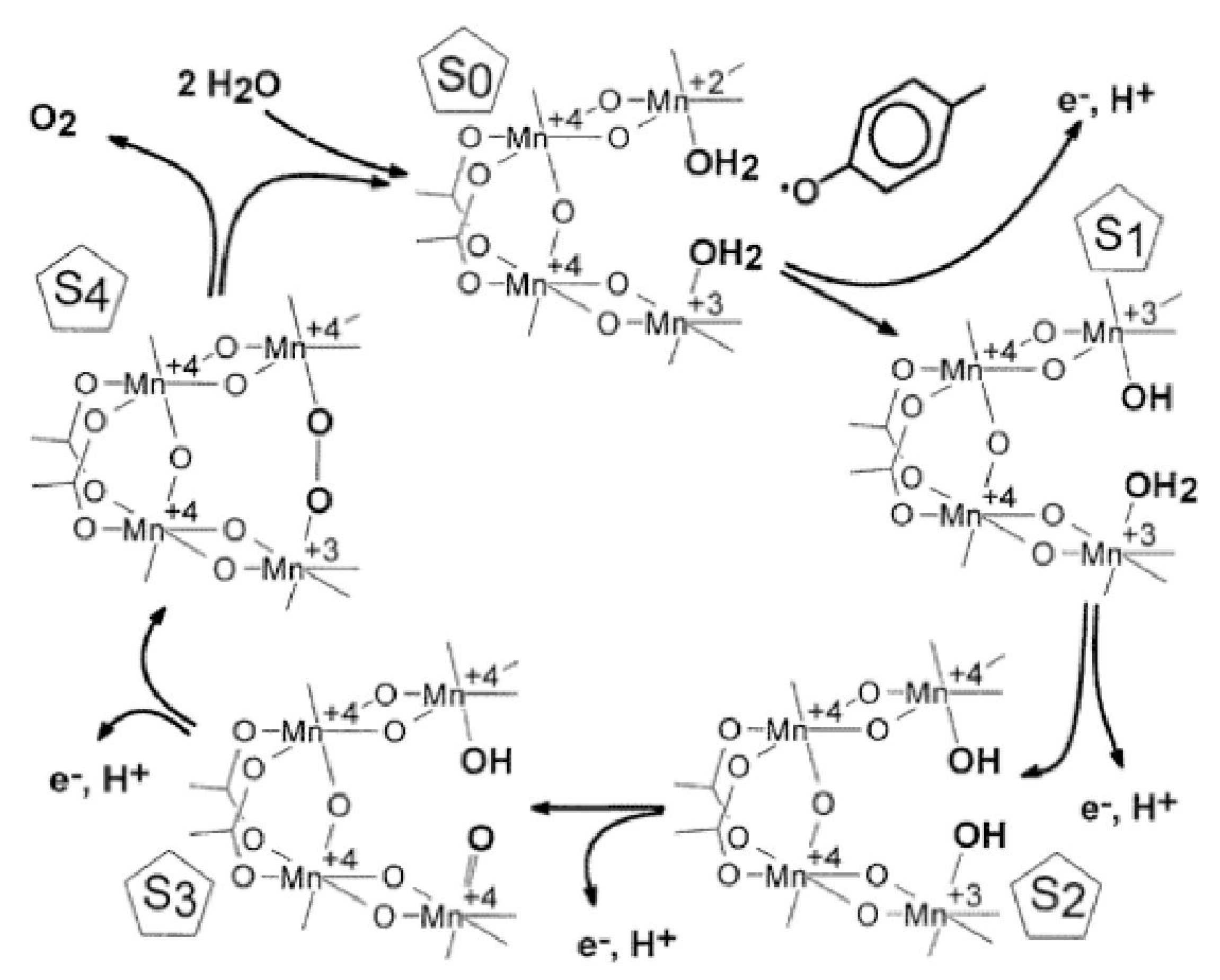 Файл:Electron shell 127 Unbiseptium - no label.svg - Википедия