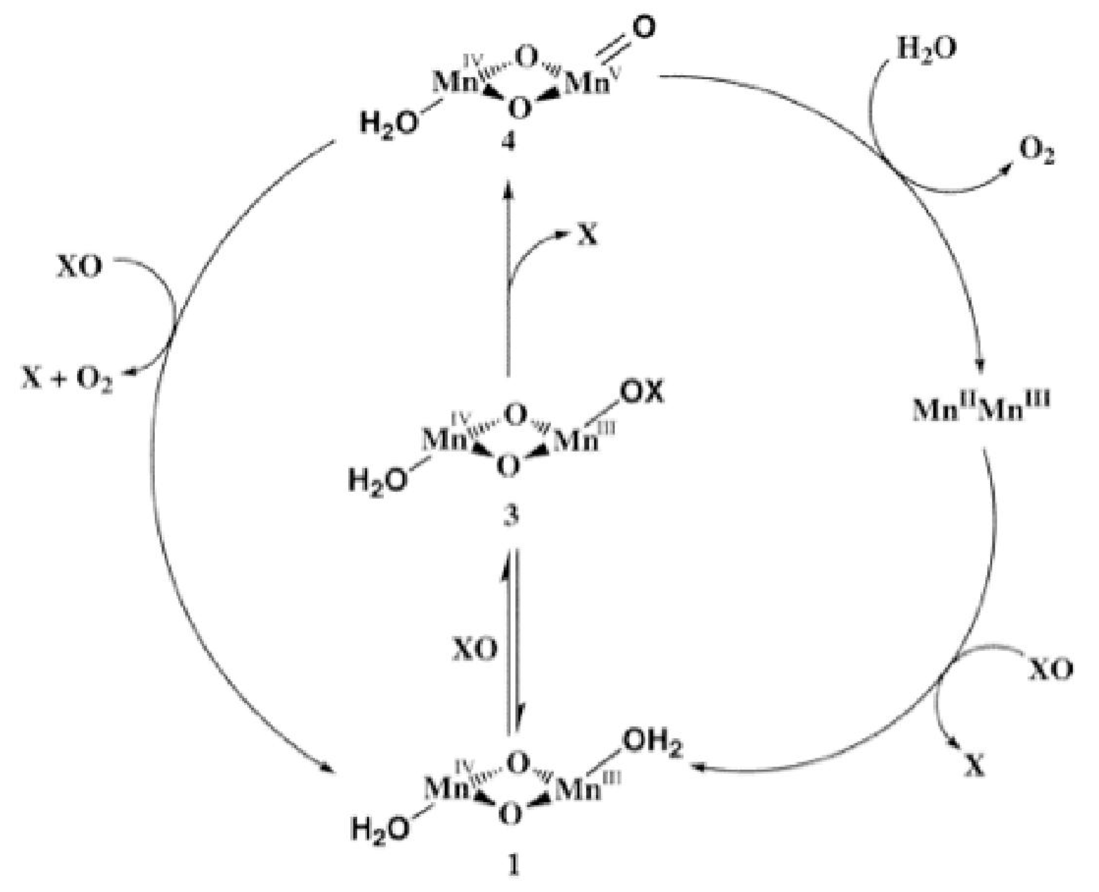 Materials 04 01693 g004 1024