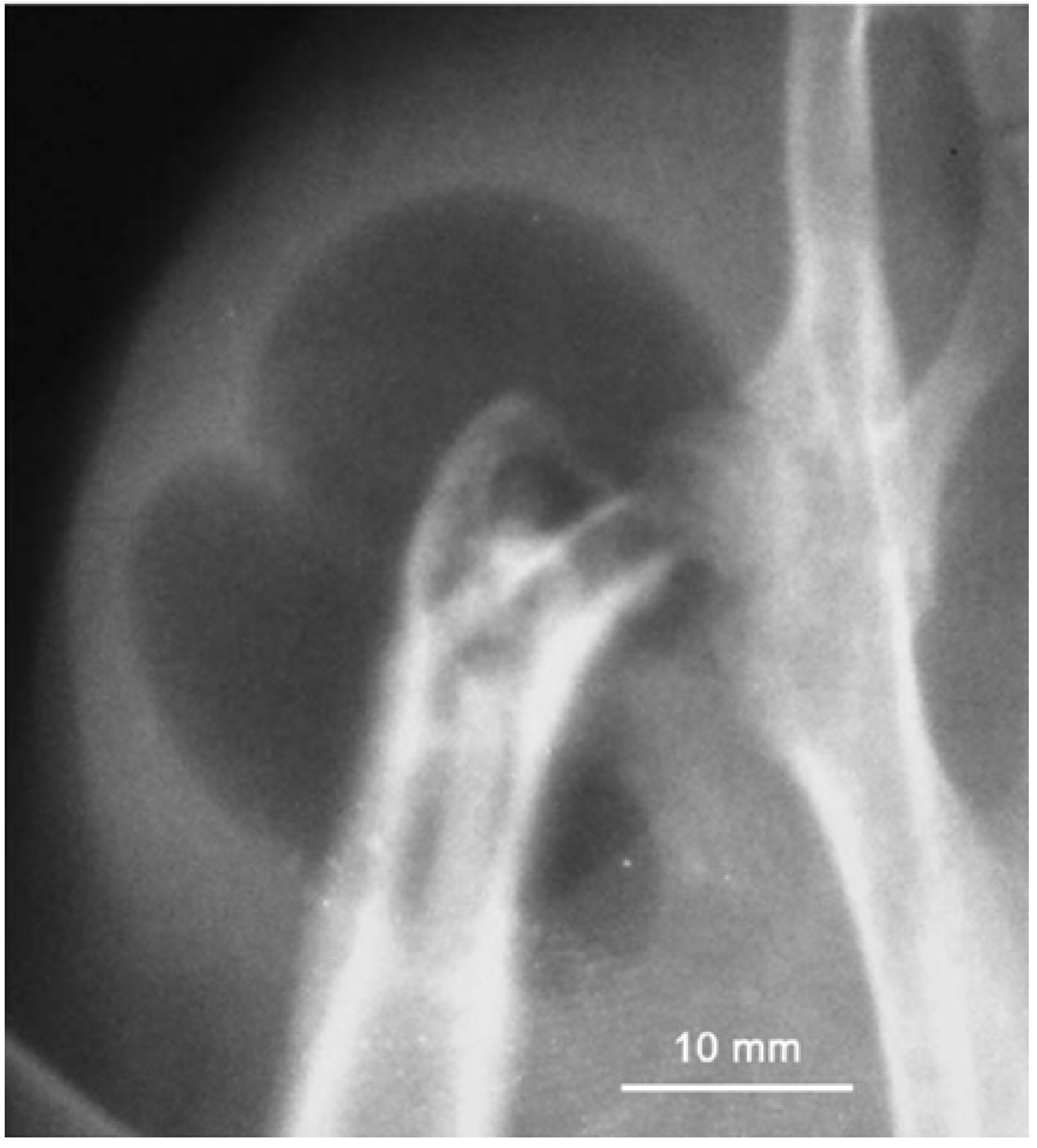 Materials 05 00135 g008 1024