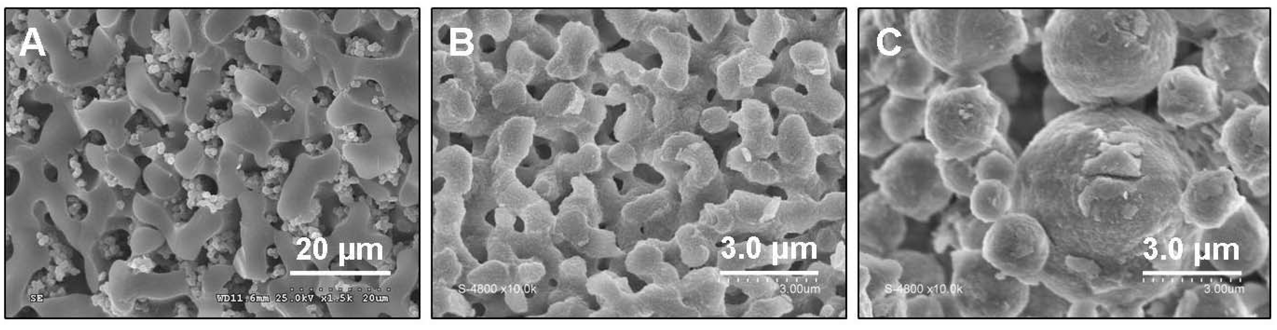 Materials 05 00336 g006 1024