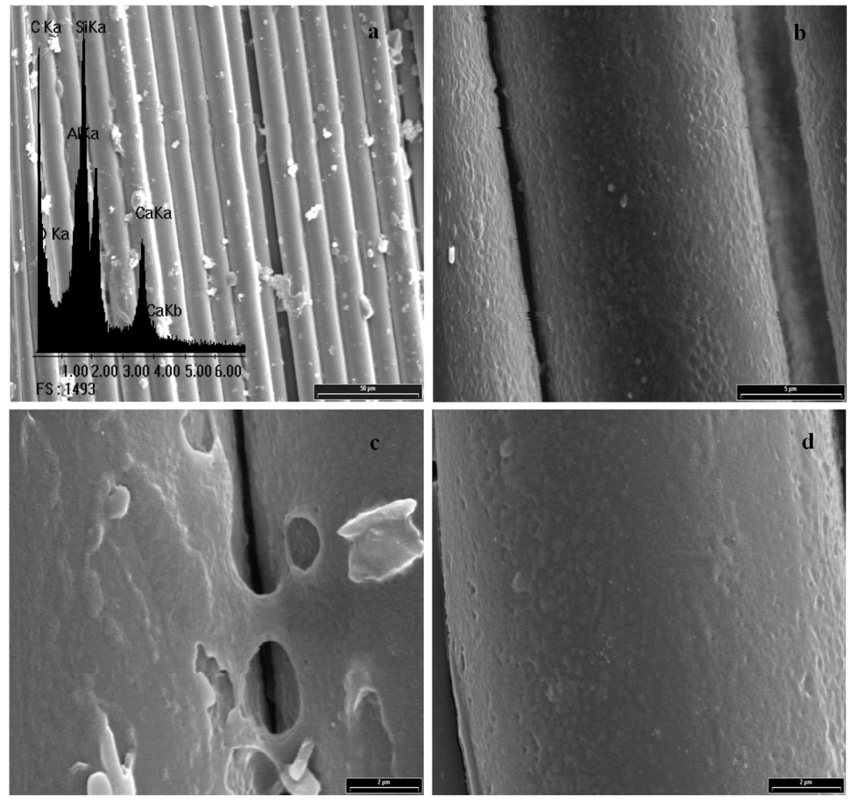 Materials 05 01084 g005 1024