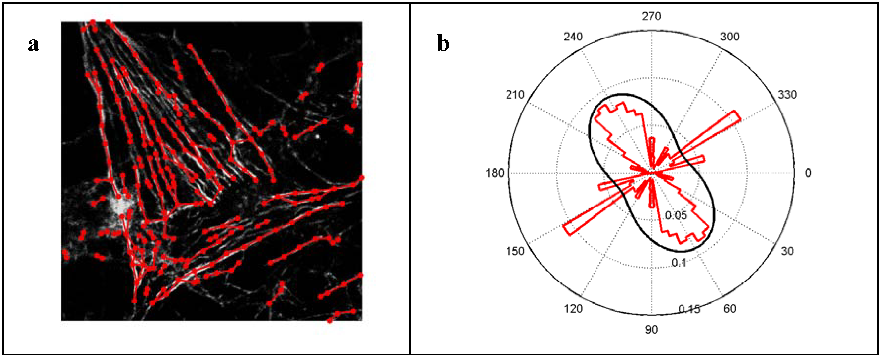 Materials 05 01176 g002 1024