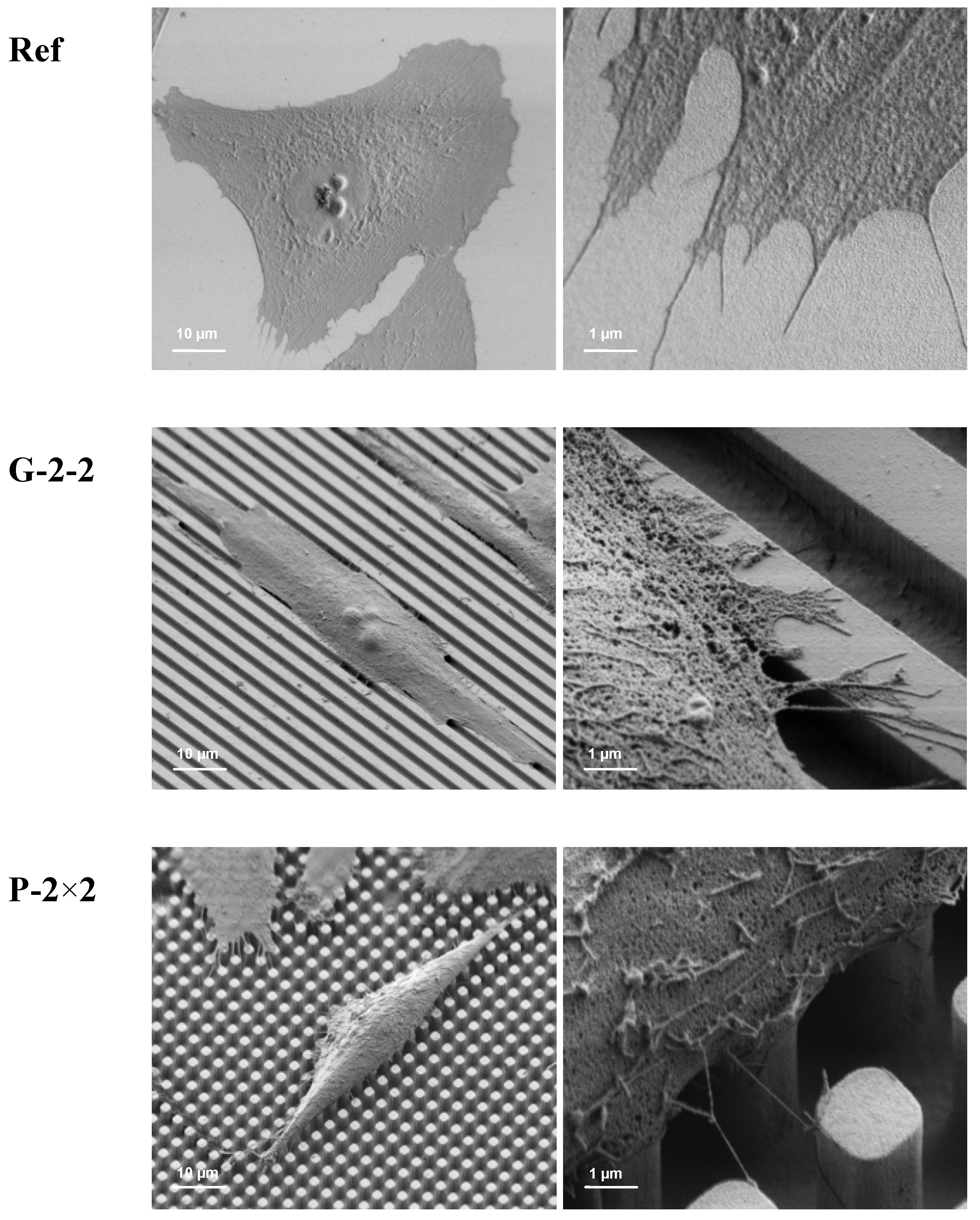 Materials 05 01176 g003a 1024