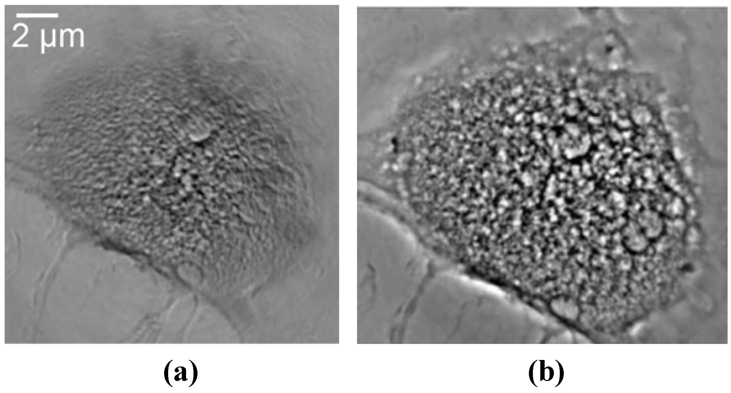 Materials 05 01752 g018 1024